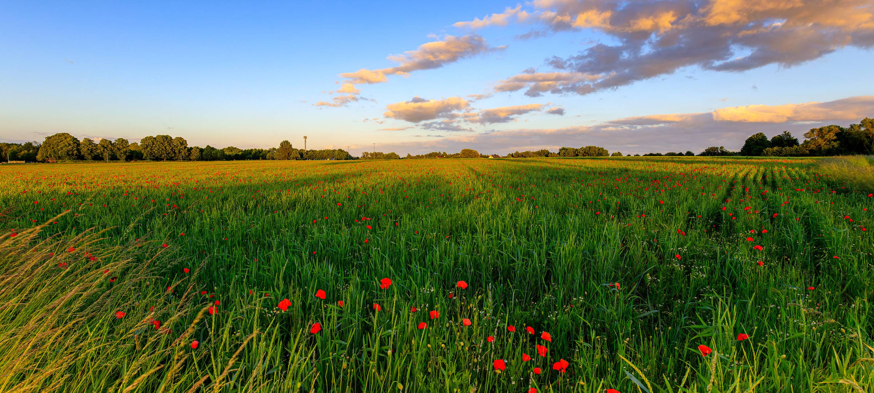 So schön ist Hamm - die besten Fotos aus unserer Stadt in 2022!