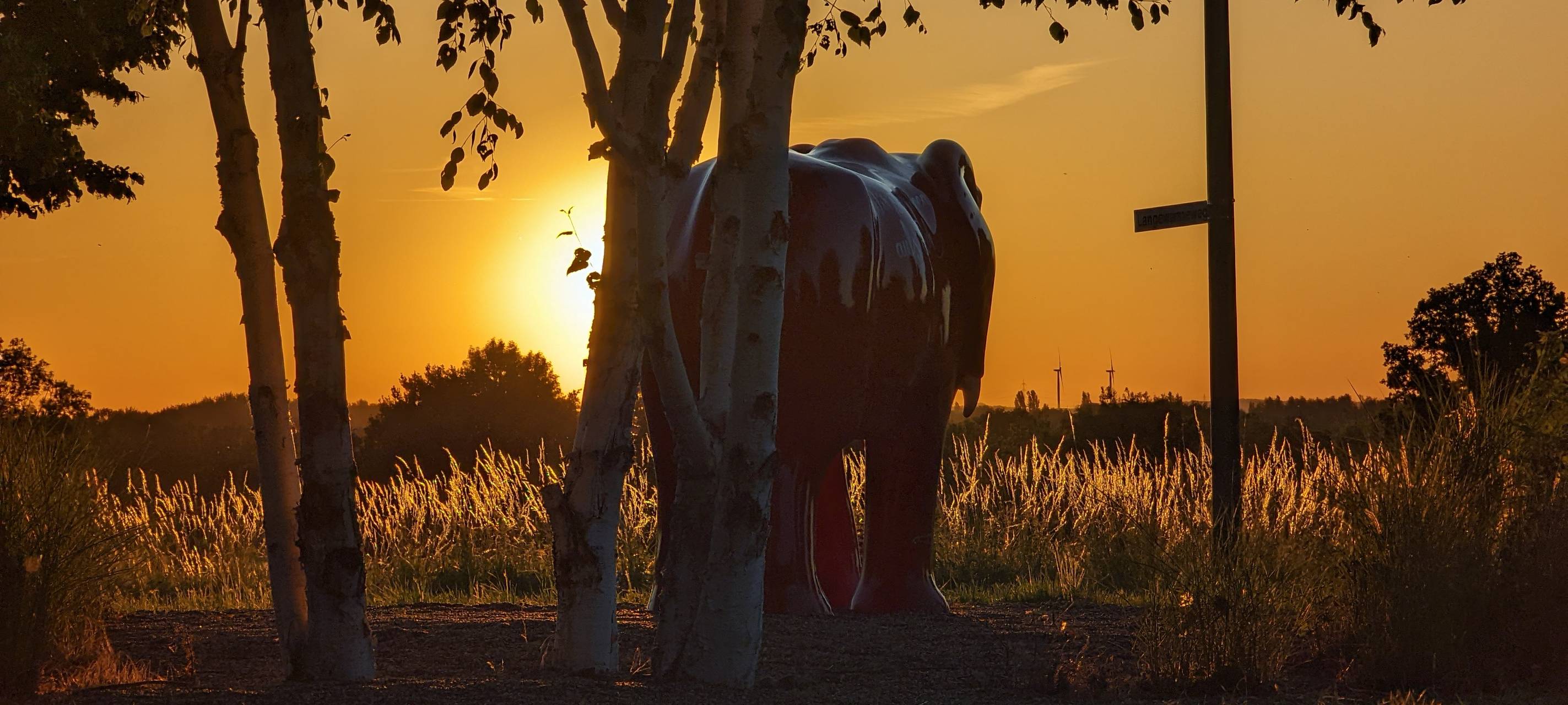 So schön ist Hamm - die besten Fotos aus unserer Stadt in 2022!