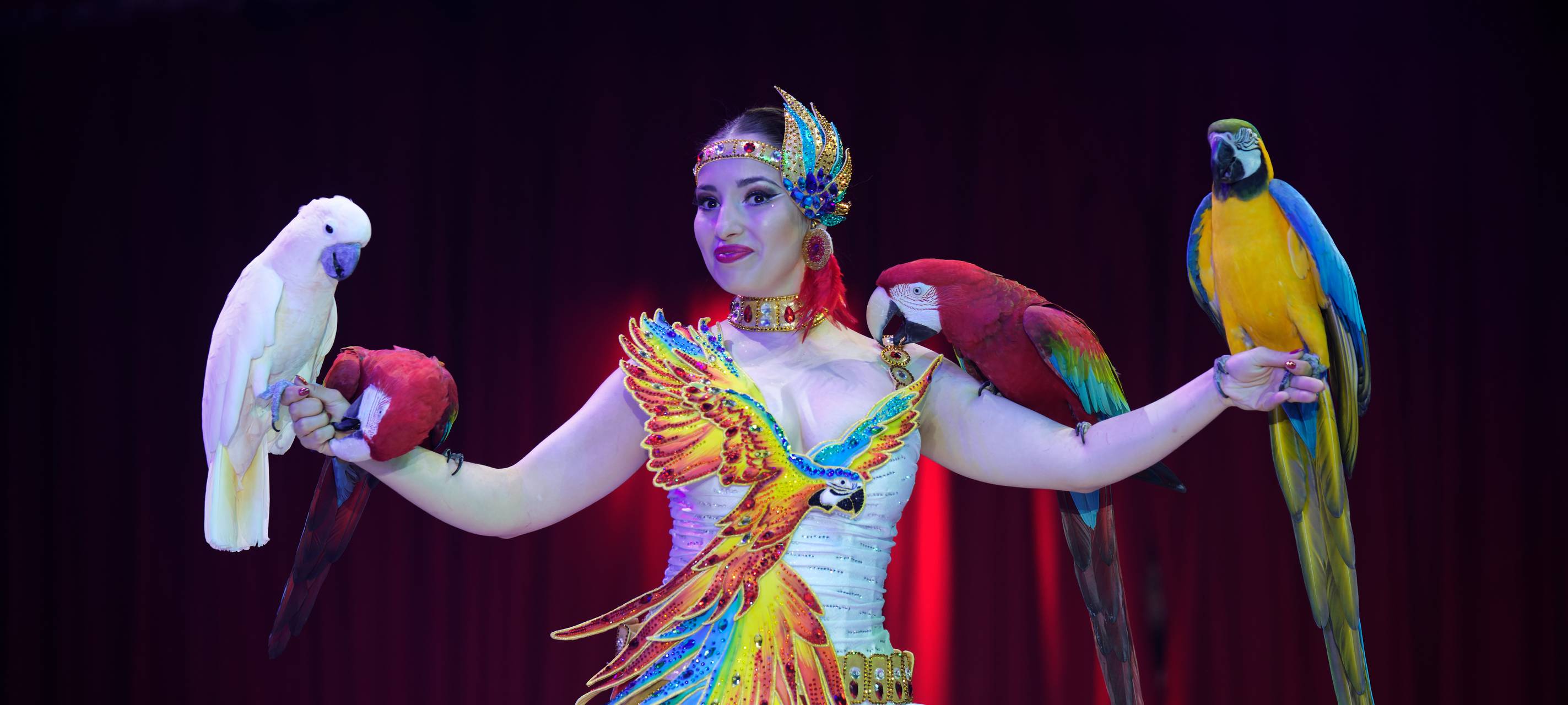 Zirkus Charles Knie zu Gast in Hamm