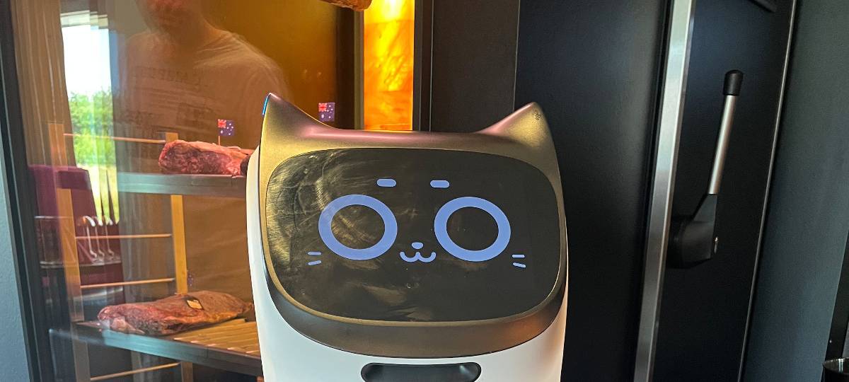 Roboter statt Mensch: Der neue Hammer Kellner