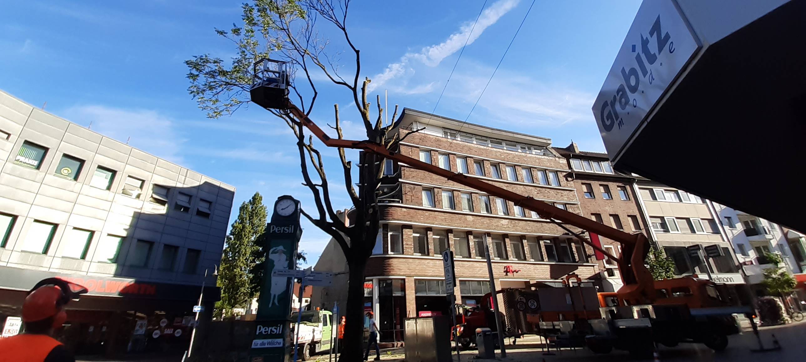 Baum an der Persiluhr ist krank