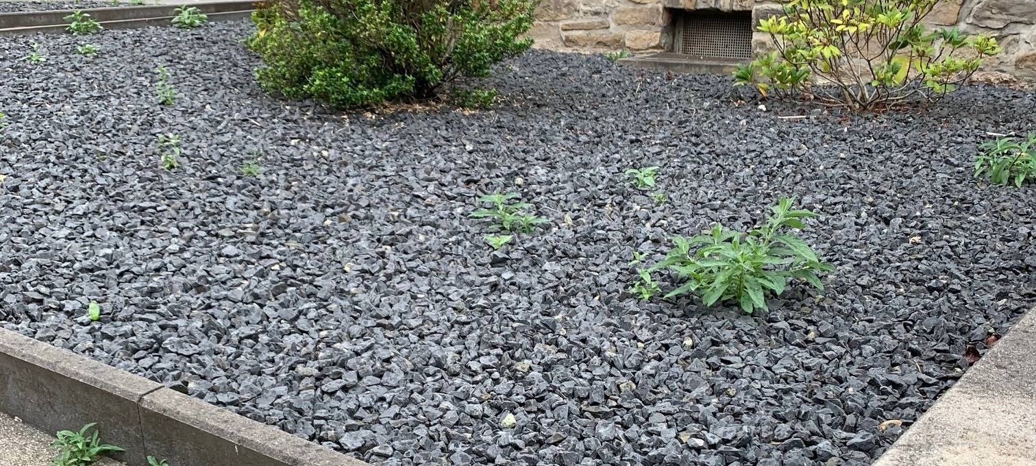 CDU Hamm kritisiert Umgang der Stadt mit Schottergärten