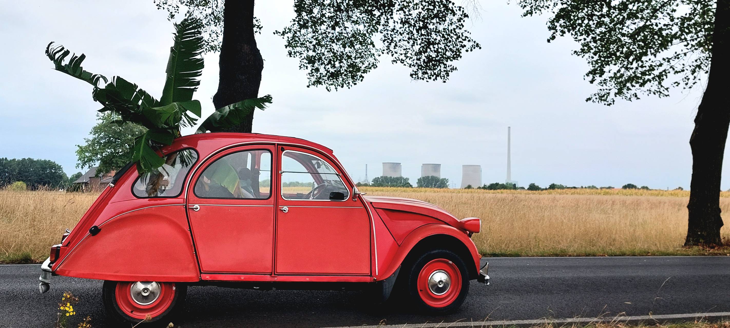 So schön ist Hamm - die besten Fotos aus unserer Stadt in 2022!