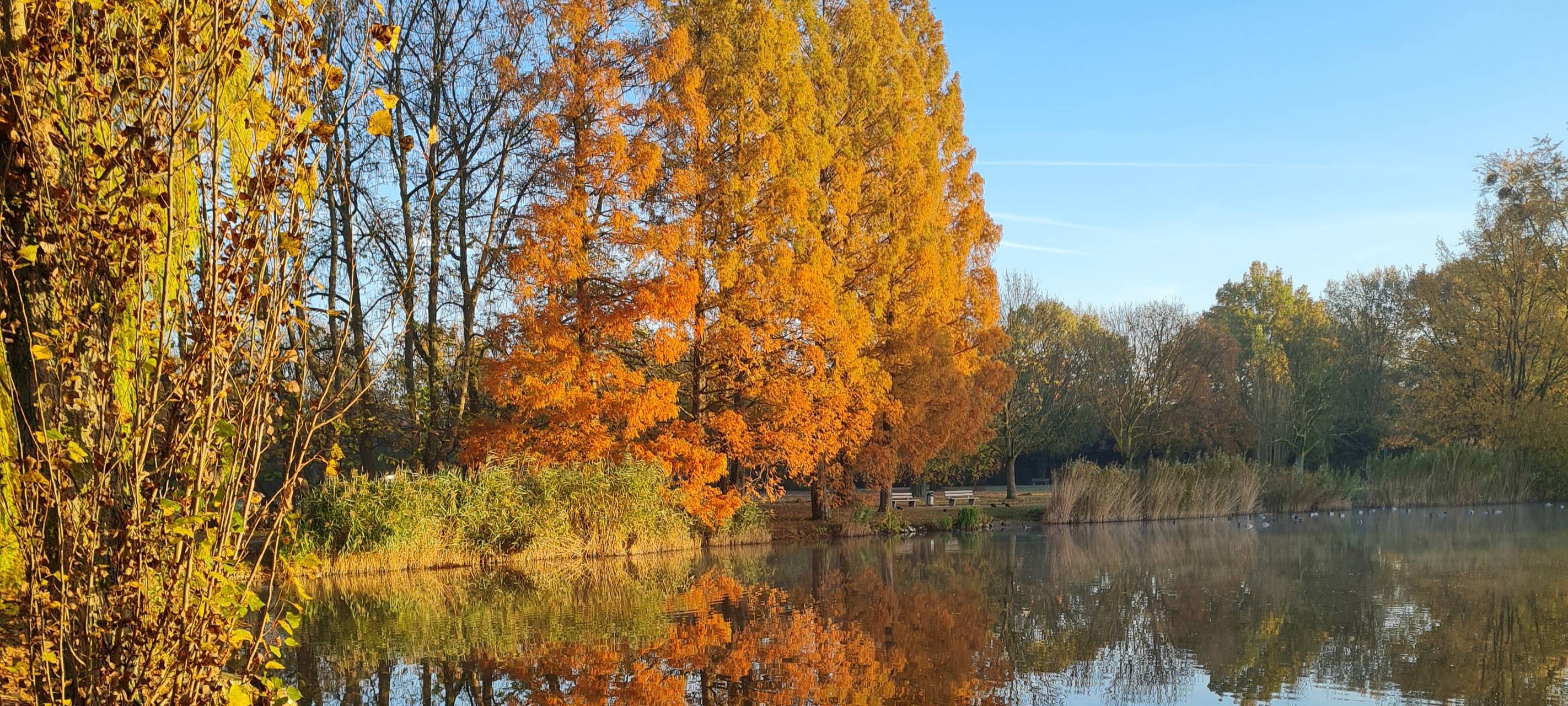 So schön ist Hamm - die besten Fotos aus unserer Stadt in 2022!