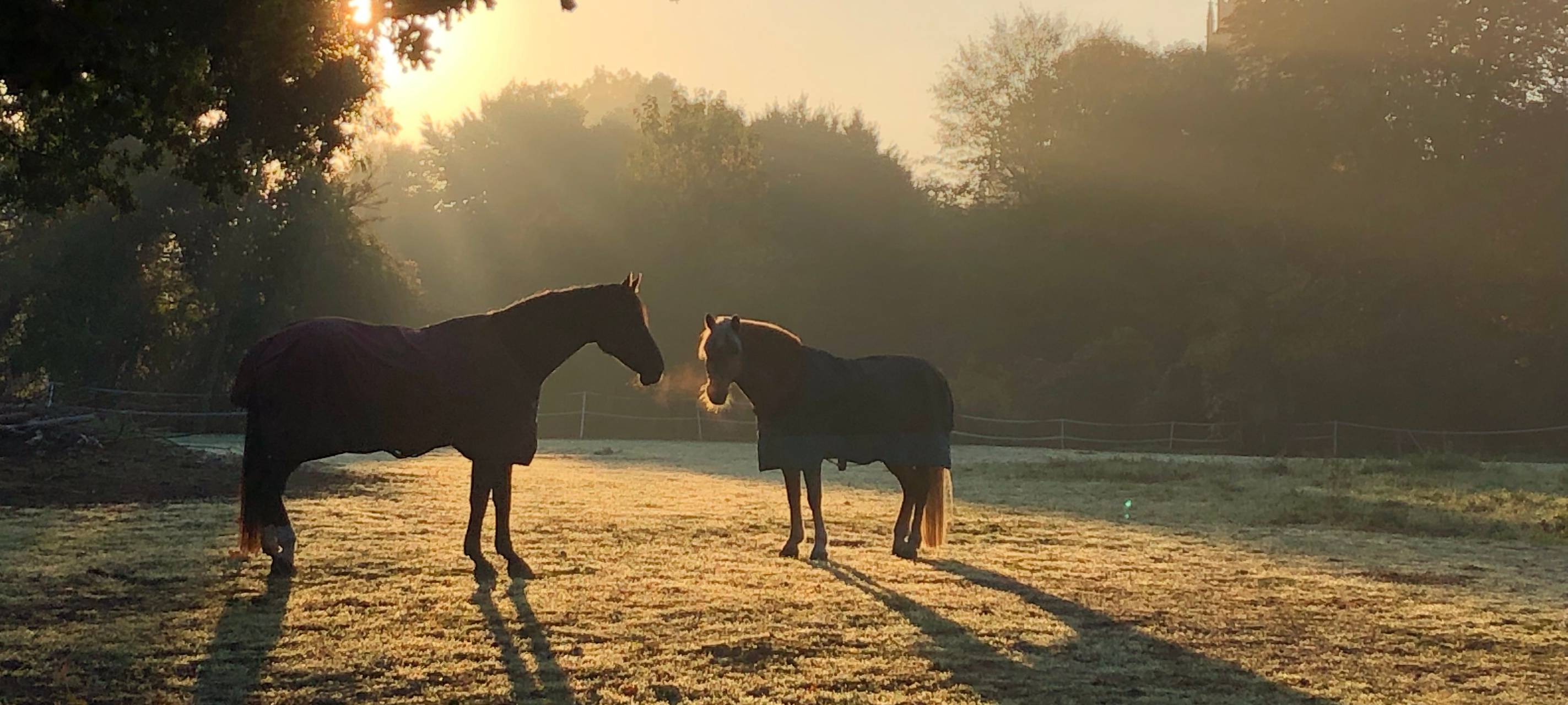 So schön ist Hamm - die besten Fotos aus unserer Stadt in 2022!