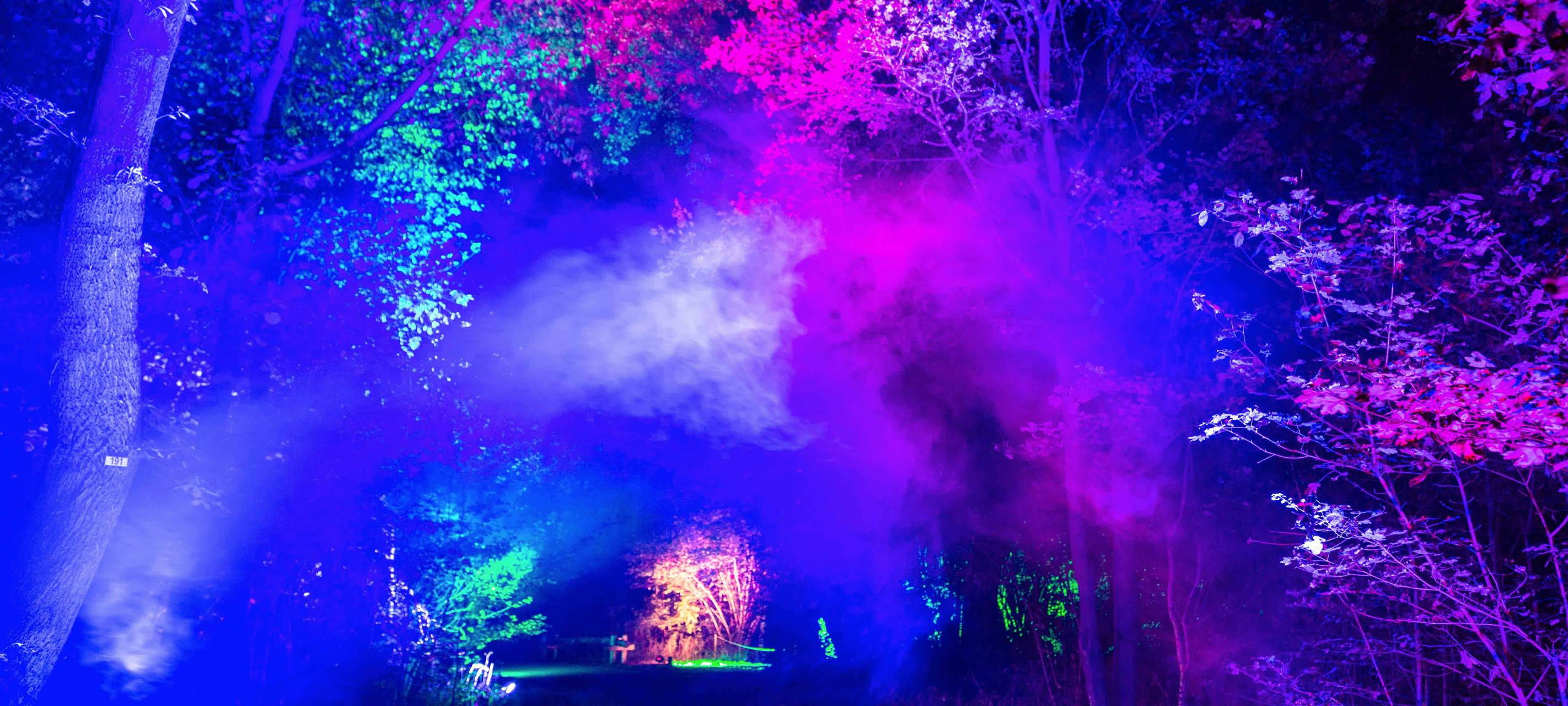 Herbstleuchten im Maxipark Hamm