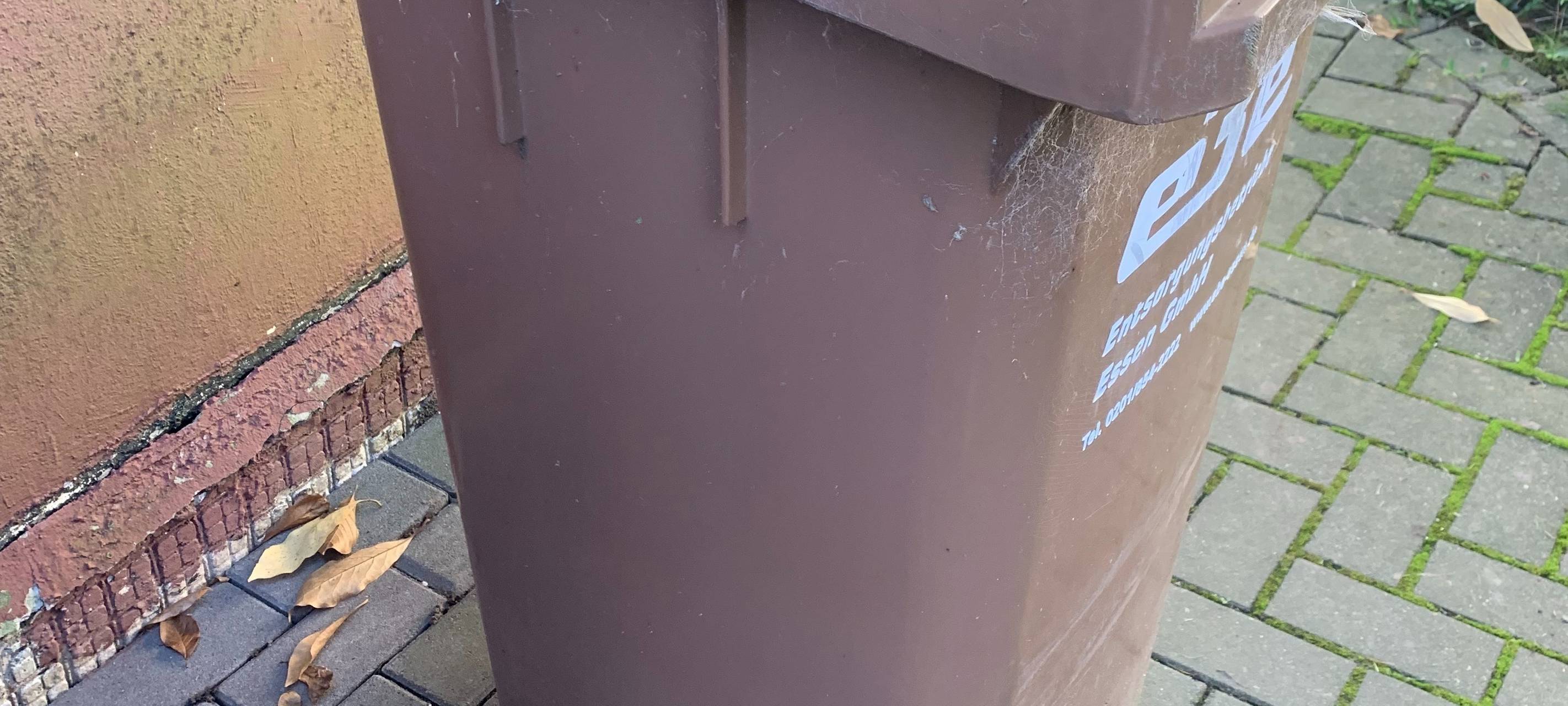 Biotonnen in Hamm sind sauber, aber noch ausbaufähig