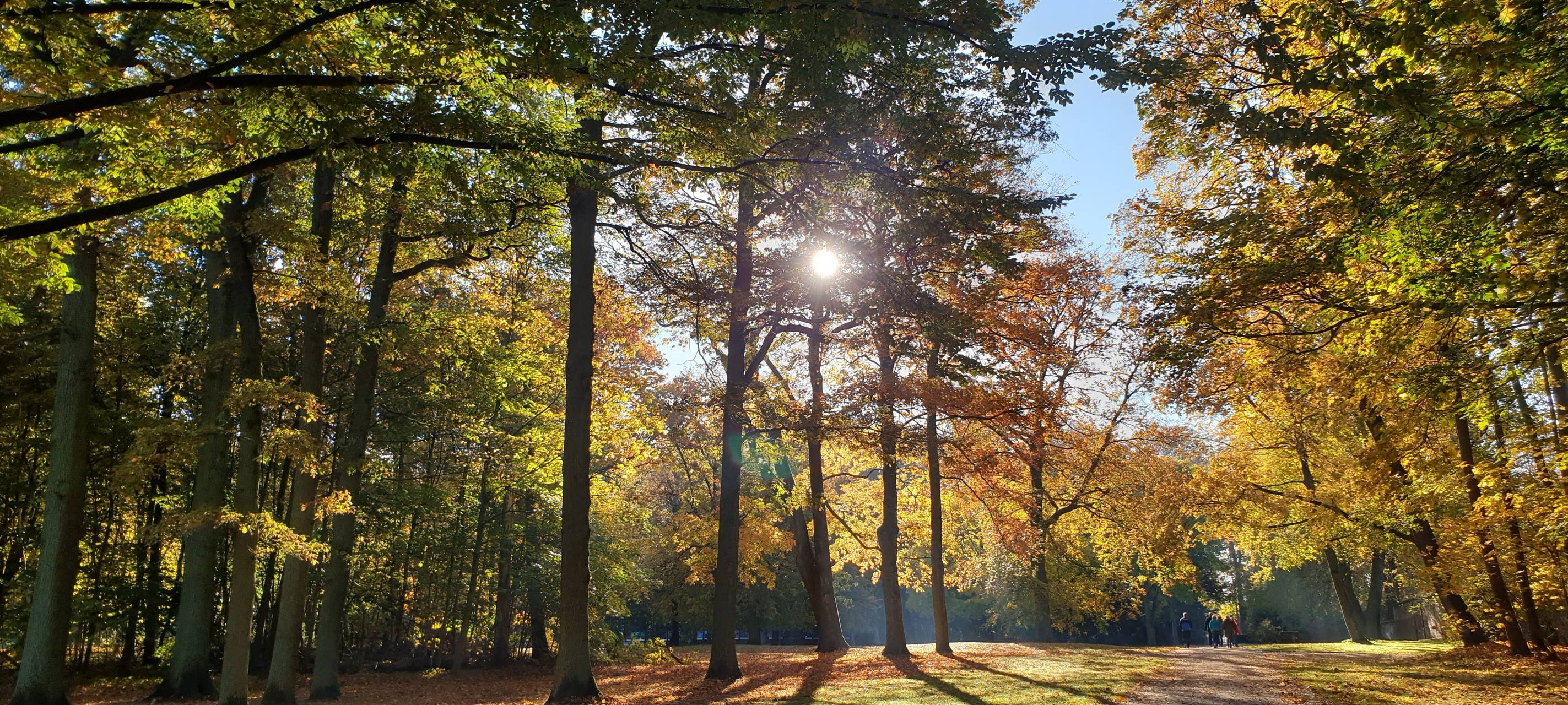So schön ist Hamm - die besten Fotos aus unserer Stadt in 2022!