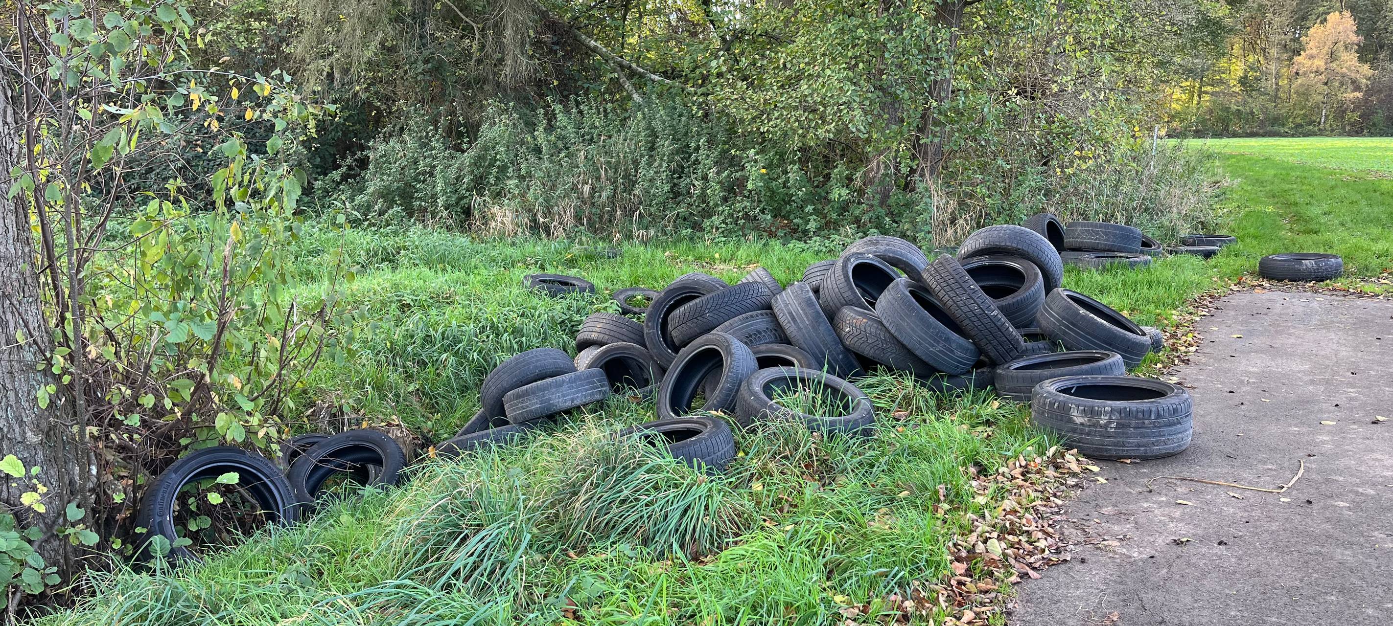 60 Autoreifen in Hamm Rhynern am Feldweg entsorgt