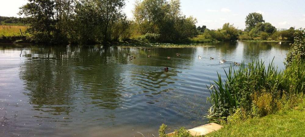 Trockenheit wirkt sich auf die Gewässer in Hamm aus