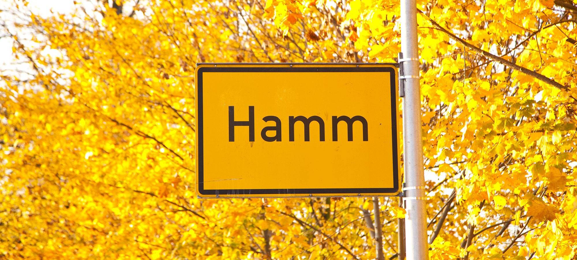 Hamm schiebt wieder etwas mehr Asylbewerber ab