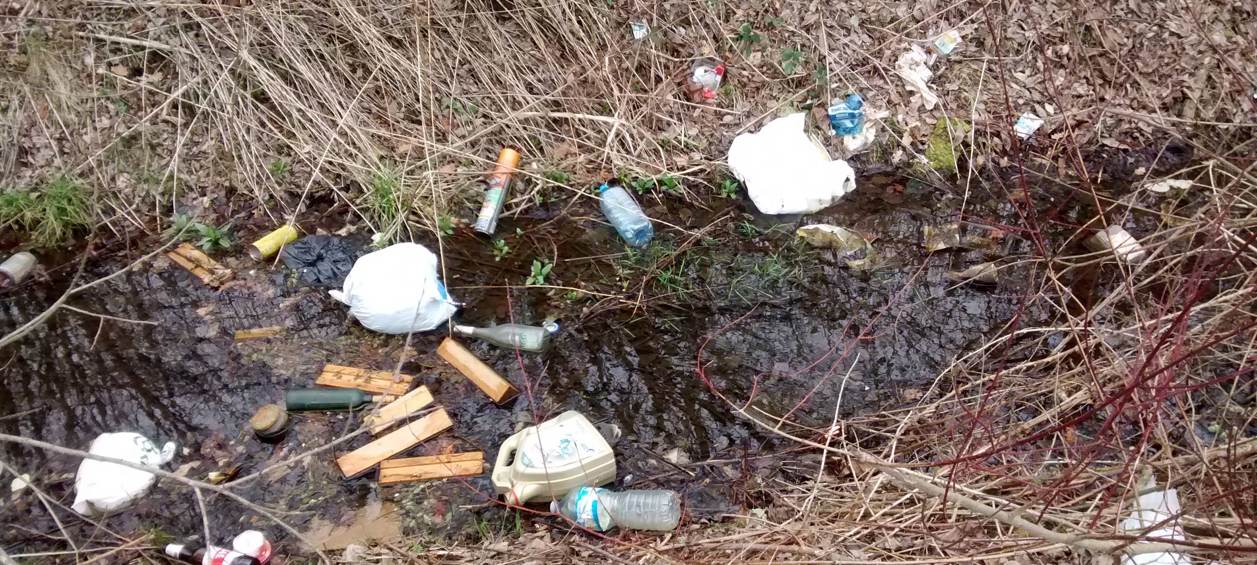 Müll-Detektive für Hamm?