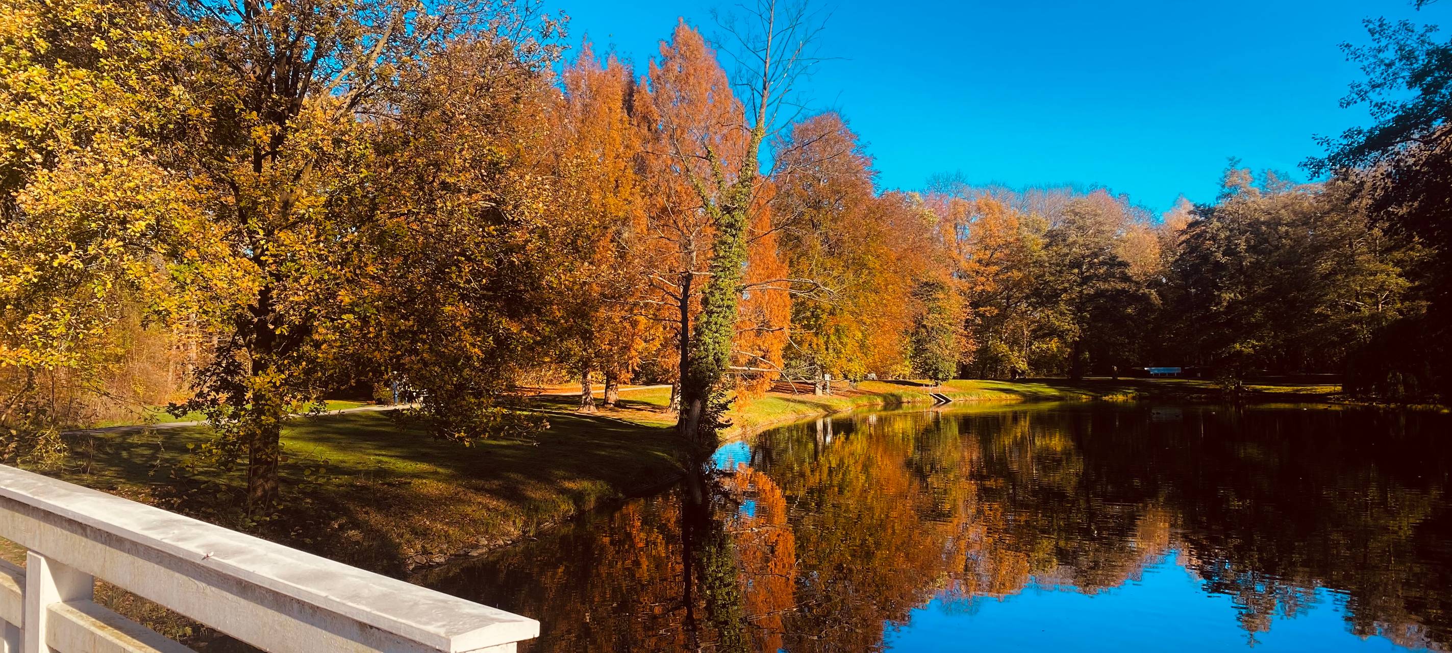 So schön ist Hamm - die besten Fotos aus unserer Stadt in 2022!