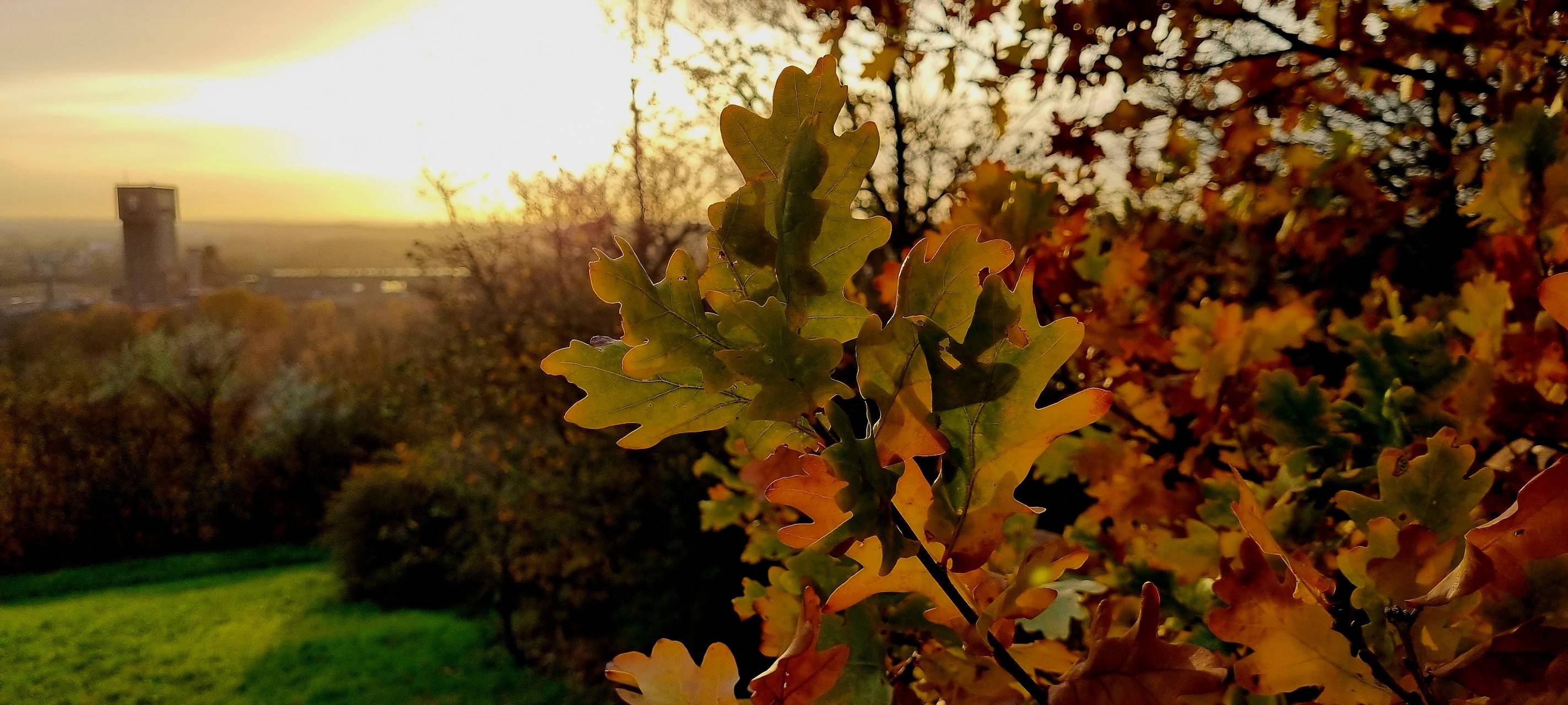 So schön ist Hamm - die besten Fotos aus unserer Stadt in 2022!