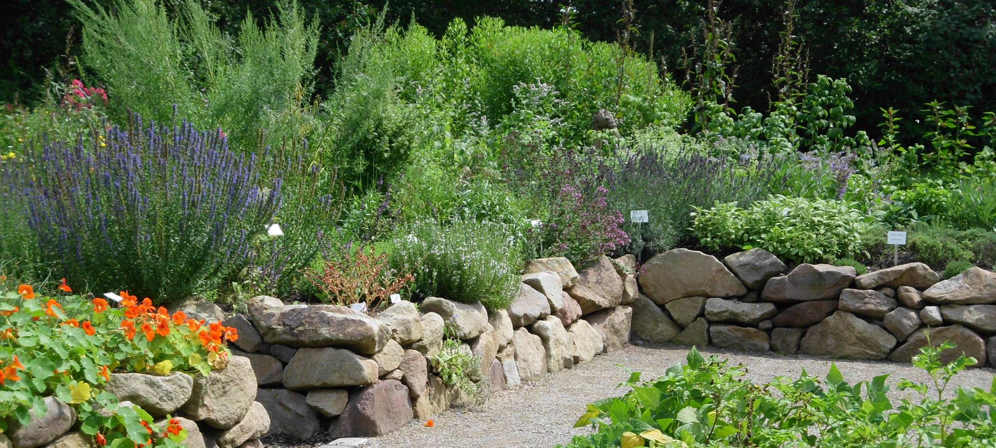 Kräutergarten im Maximilianpark