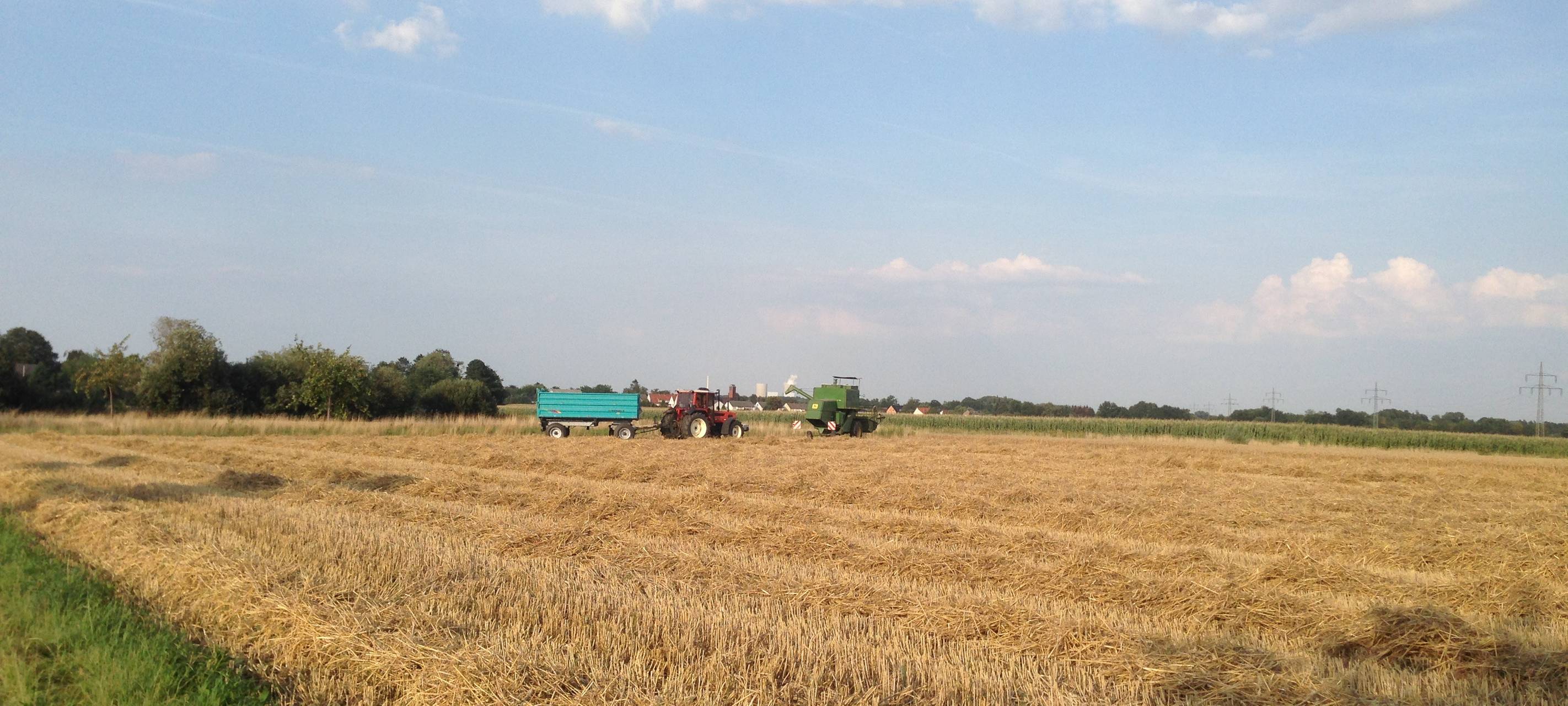 Leichtes Plus bei Getreideernte in der Region