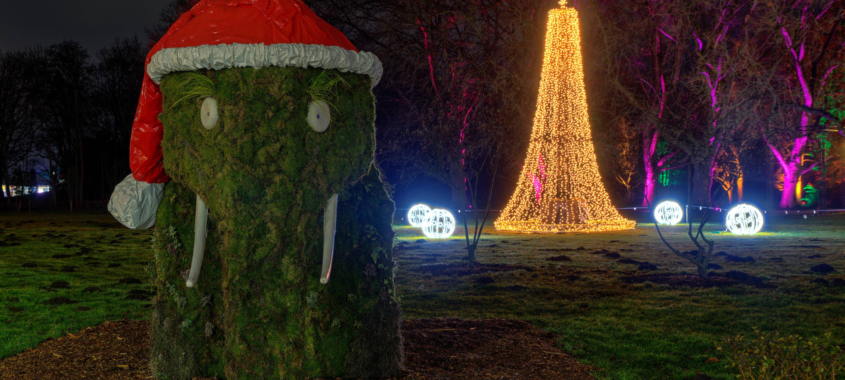 So schön ist Hamm - die besten Fotos aus unserer Stadt in 2022!