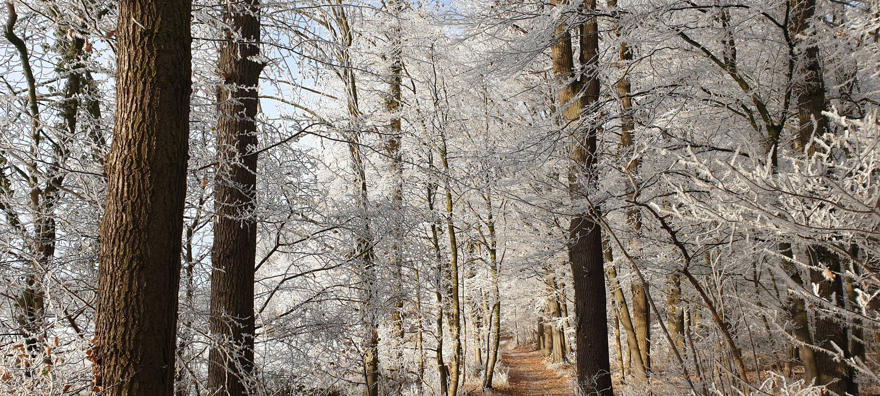 So schön ist Hamm - die besten Fotos aus unserer Stadt in 2022!