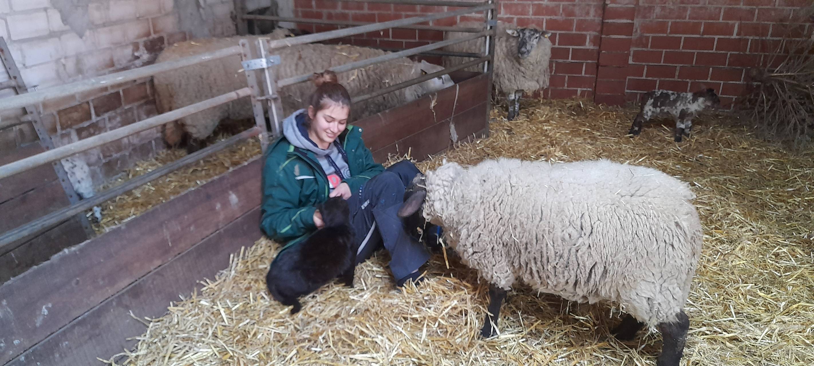 Junge Landwirtin aus Hamm wirbt für ihren Beruf