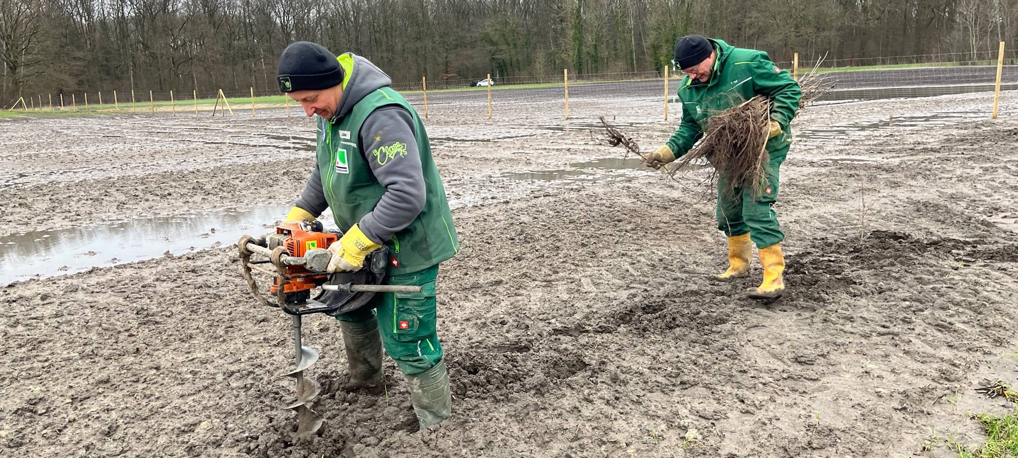 Freie Fläche an der Geithe wird aufgeforstet