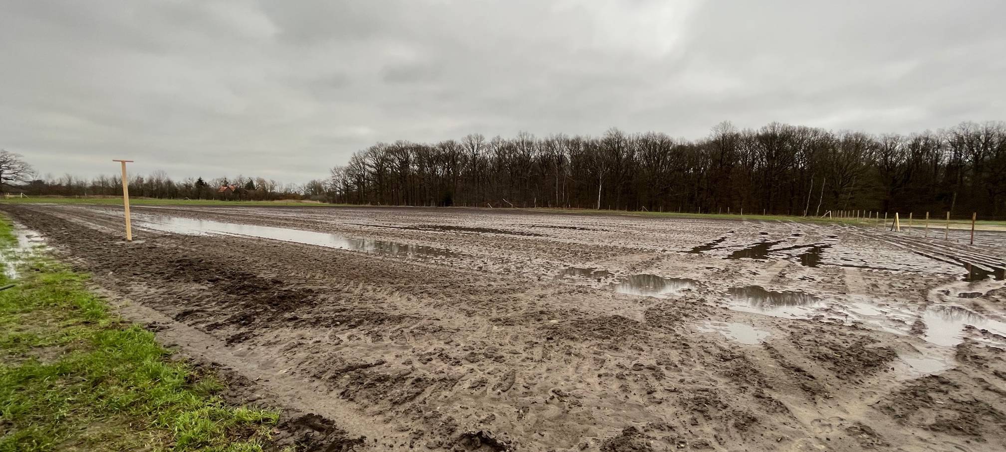 Freie Fläche an der Geithe wird aufgeforstet