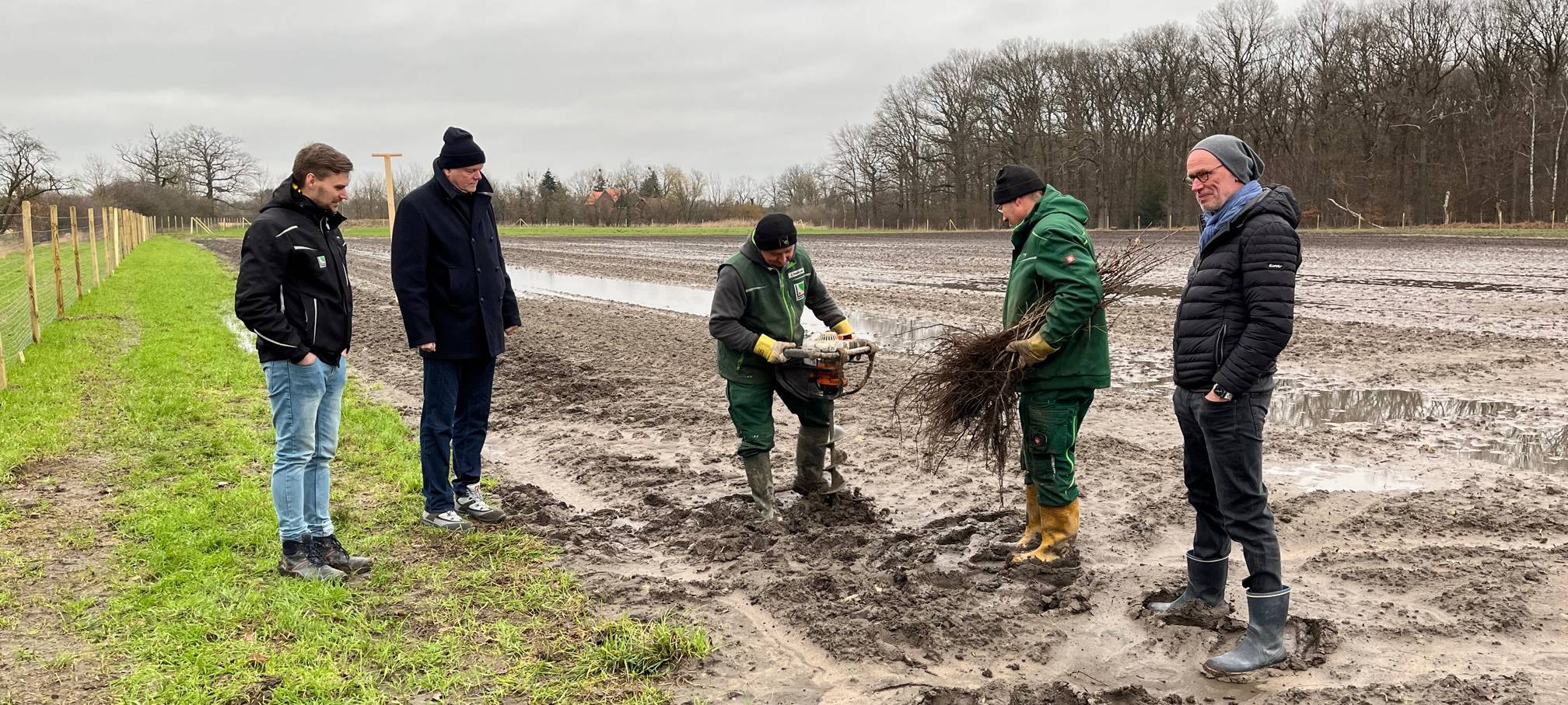 Freie Fläche an der Geithe wird aufgeforstet