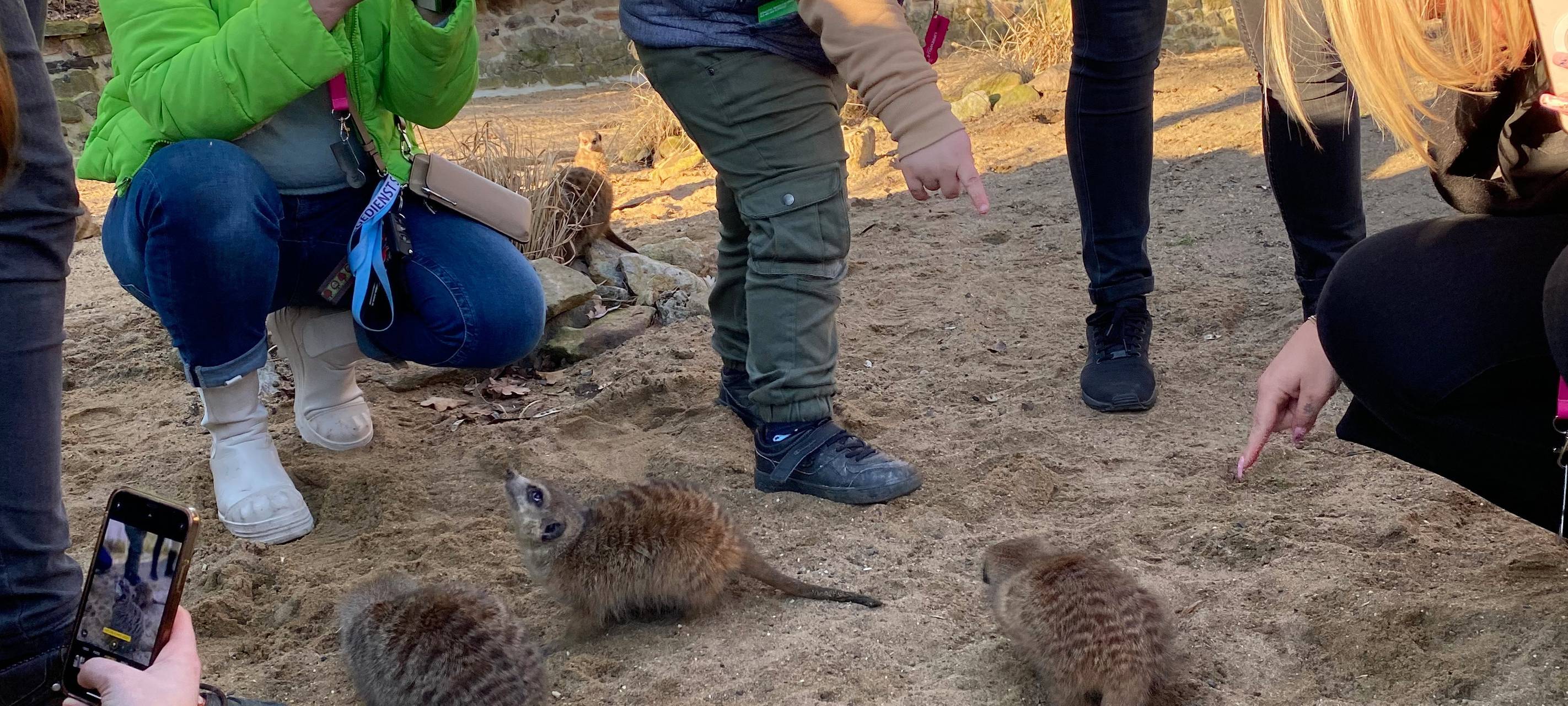 Verfüttere deine(n) Ex!