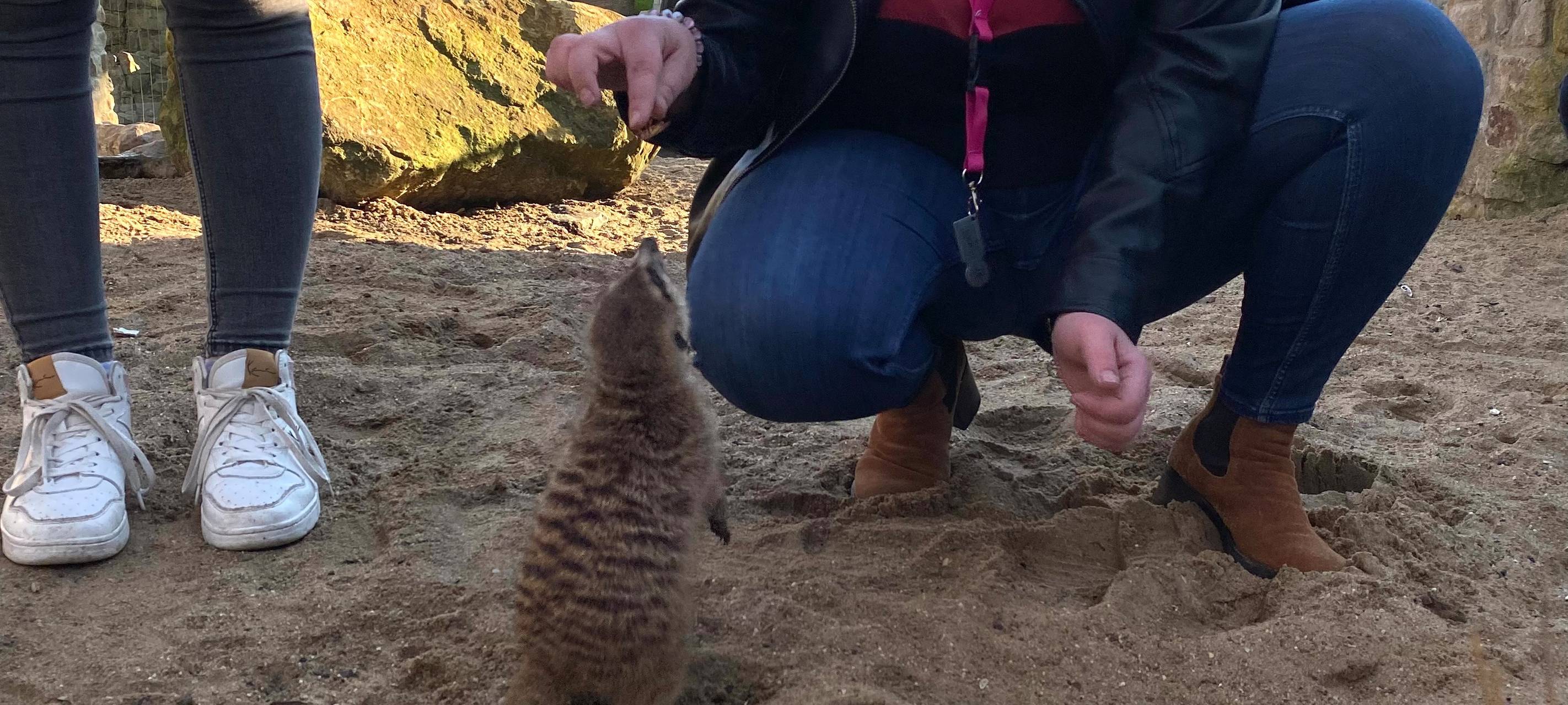 Verfüttere deine(n) Ex!