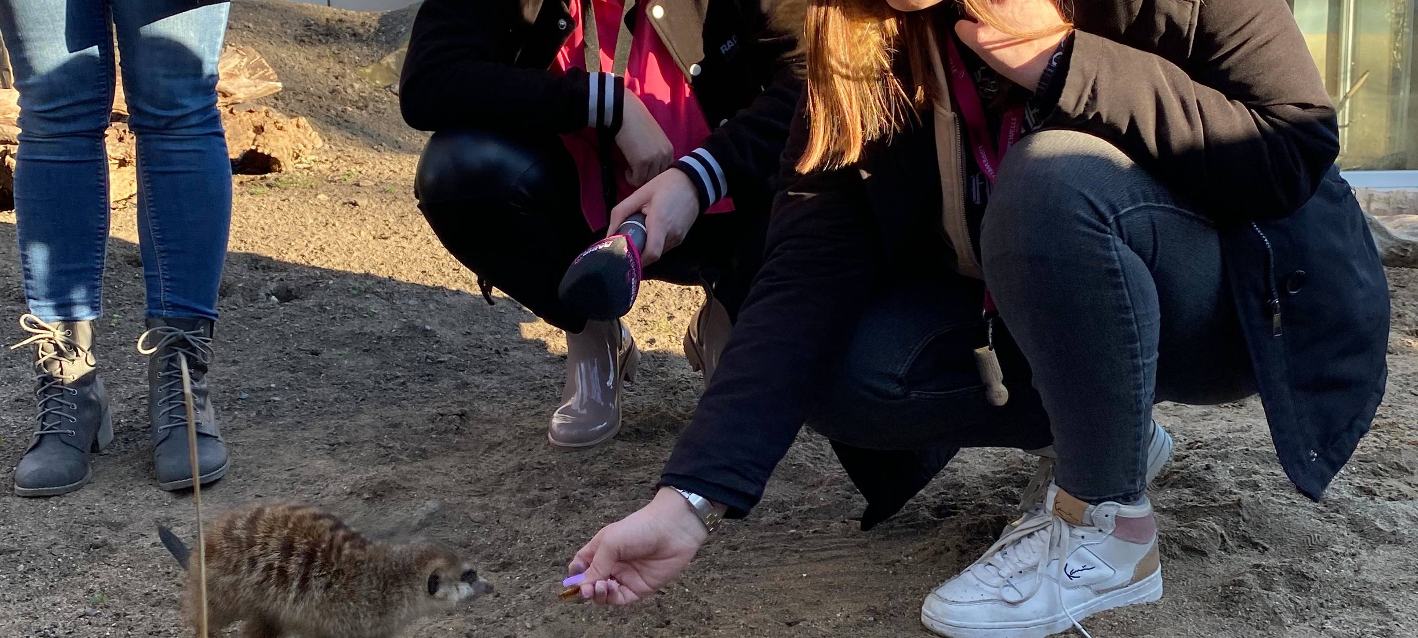 Verfüttere deine(n) Ex!