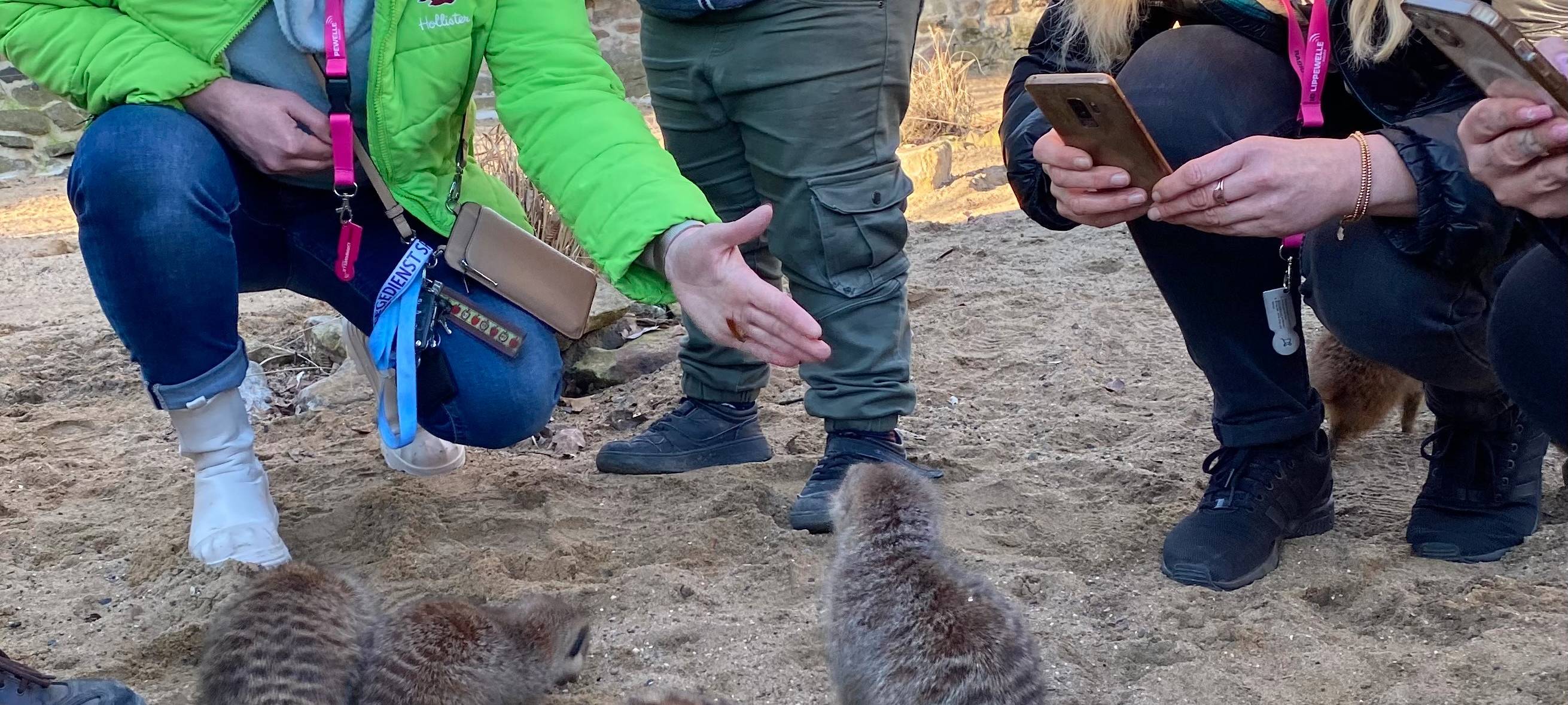 Verfüttere deine(n) Ex!