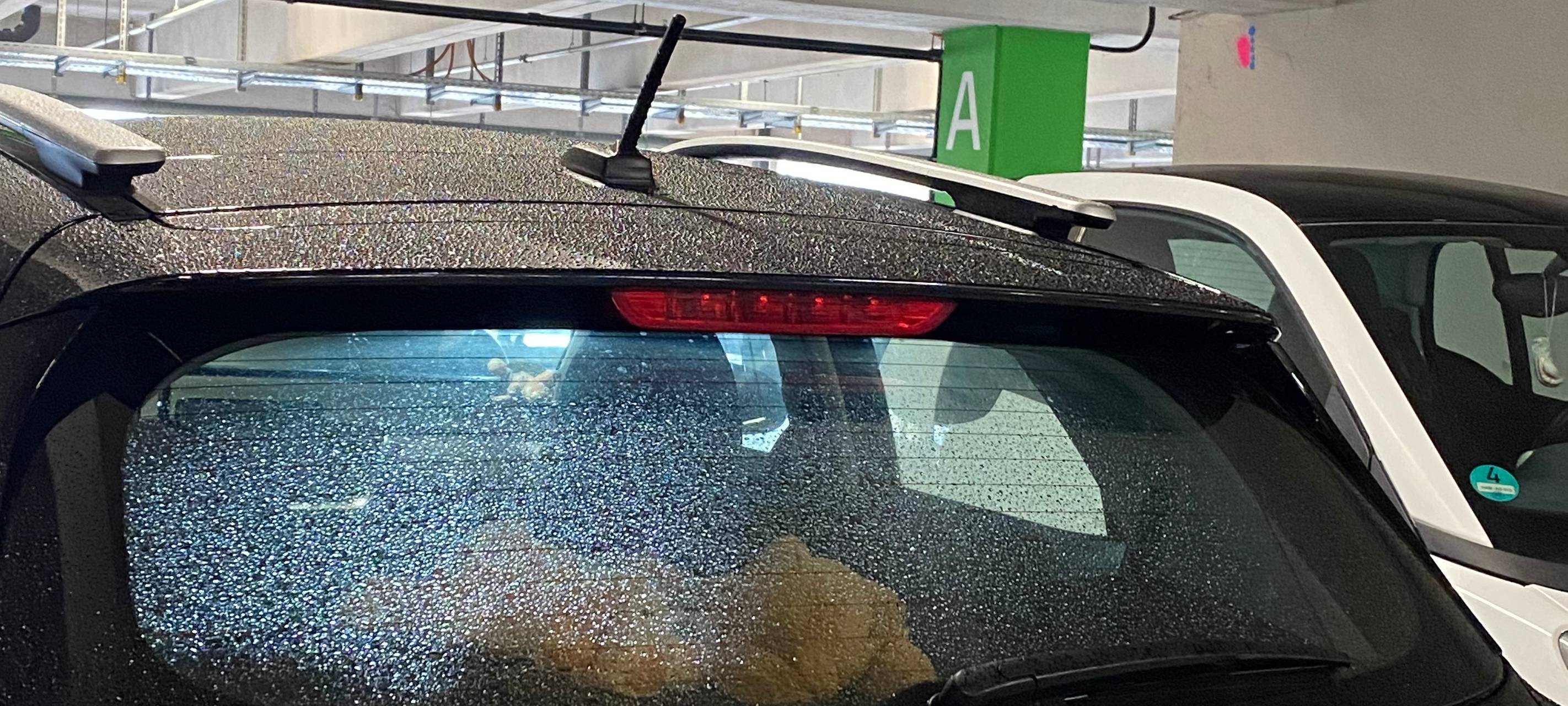 Wir waren auf der Suche nach euren skurrilsten Autoaufklebern in Hamm