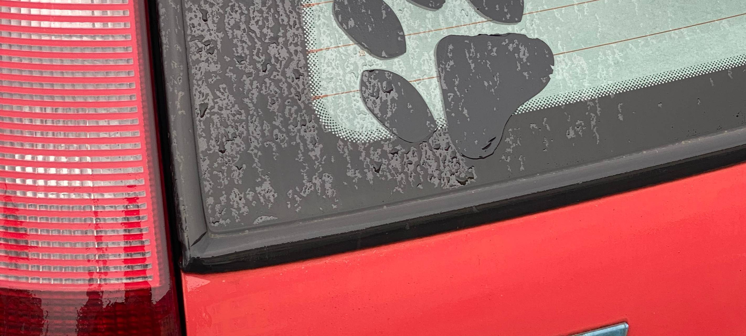 Wir waren auf der Suche nach euren skurrilsten Autoaufklebern in Hamm