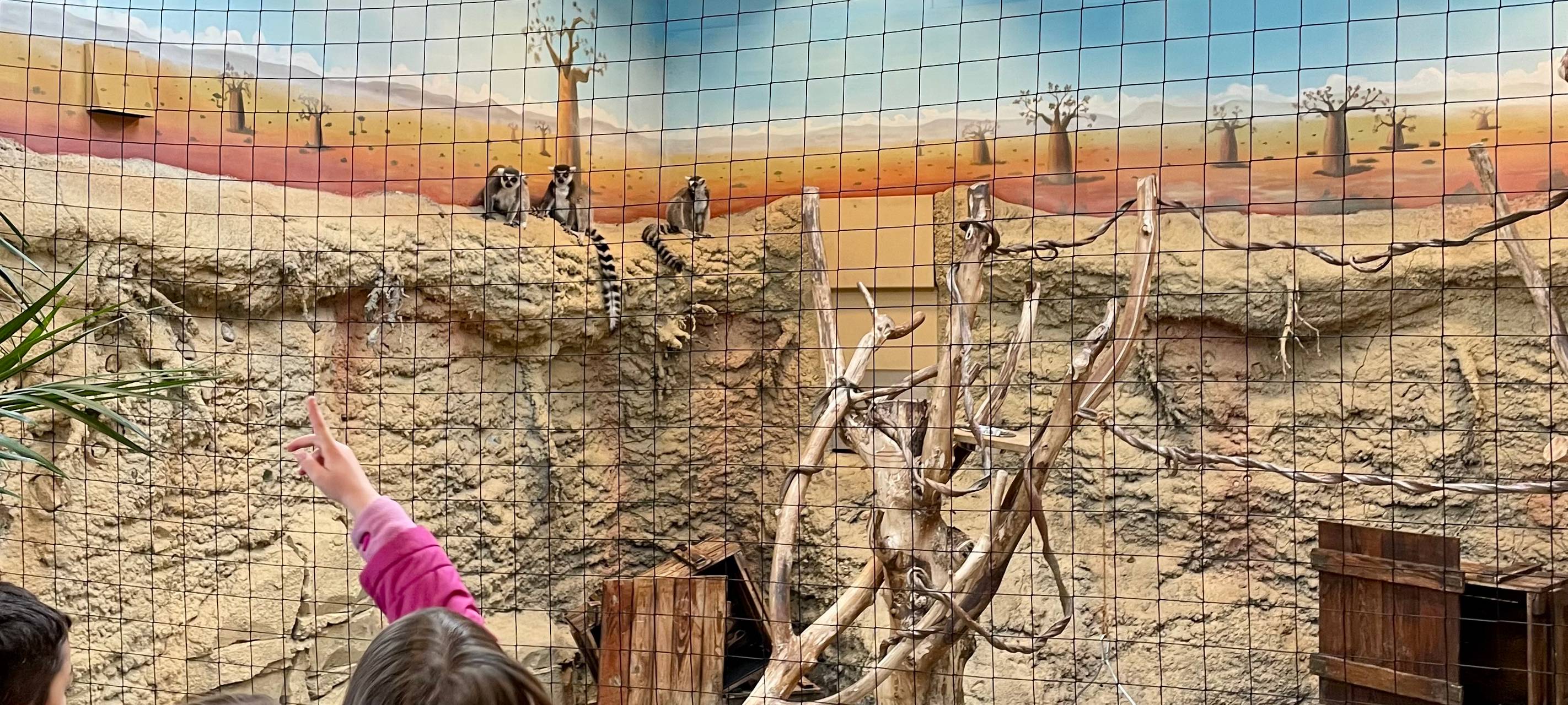 XXL-Schulausflug: Gebrüder-Grimm-Schule im Tierpark Hamm