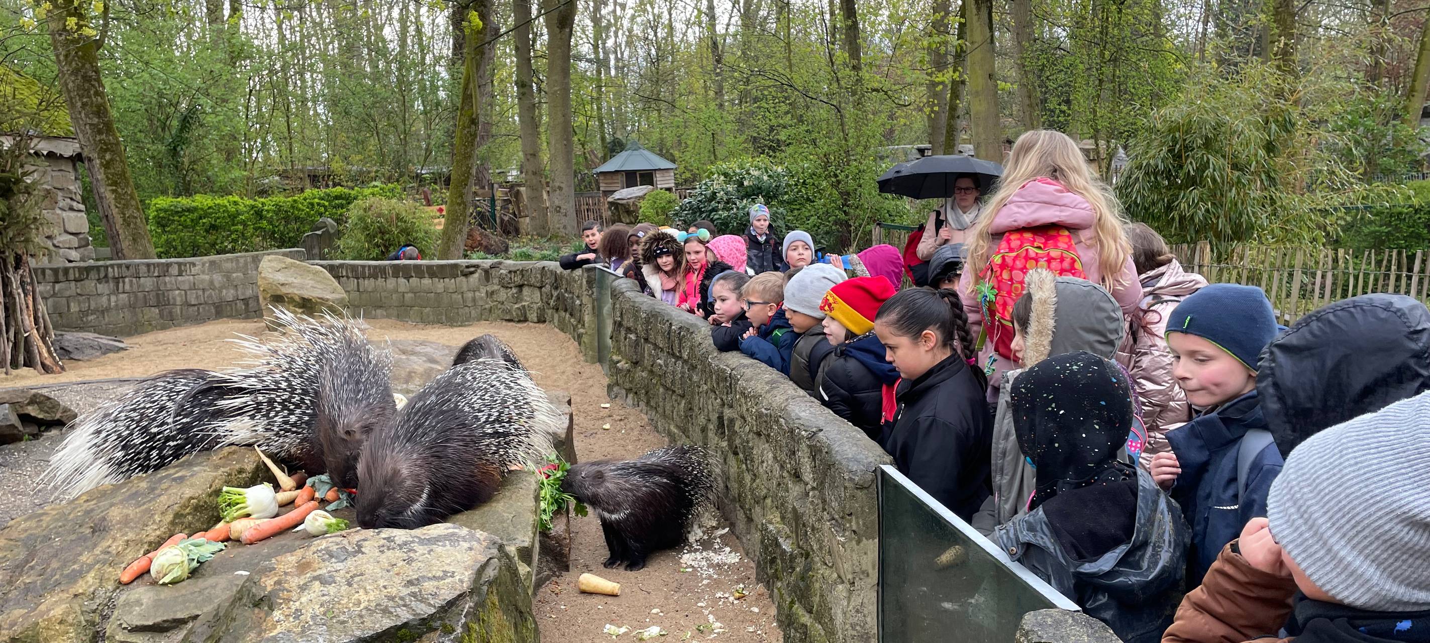 XXL-Schulausflug: Gebrüder-Grimm-Schule im Tierpark Hamm