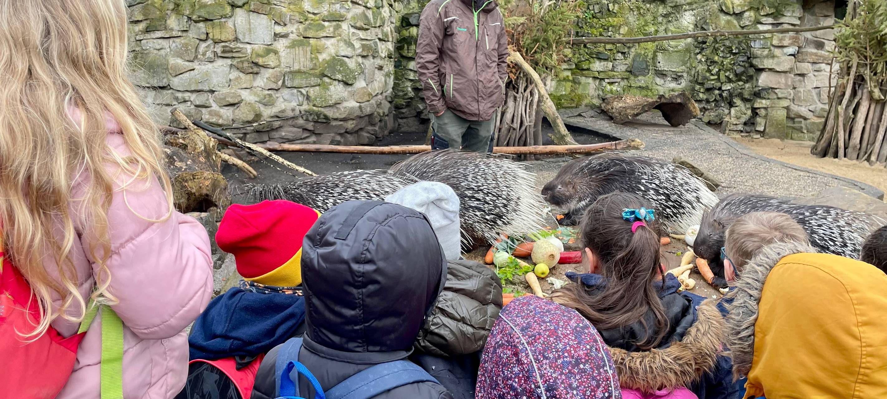 XXL-Schulausflug: Gebrüder-Grimm-Schule im Tierpark Hamm
