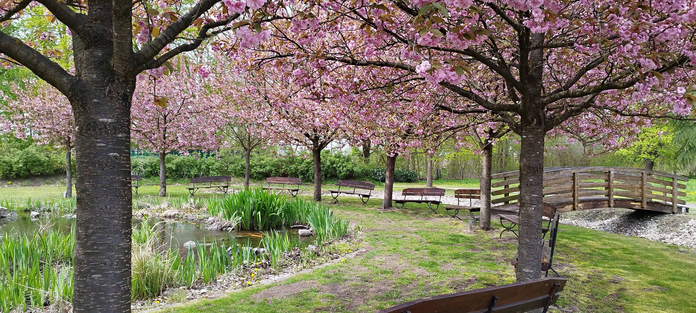 #soschönisthamm im Jahr 2023 - die schönsten Fotos