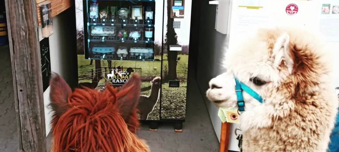 Bauern in Hamm verkaufen ihre Lebensmittel aus dem Automaten