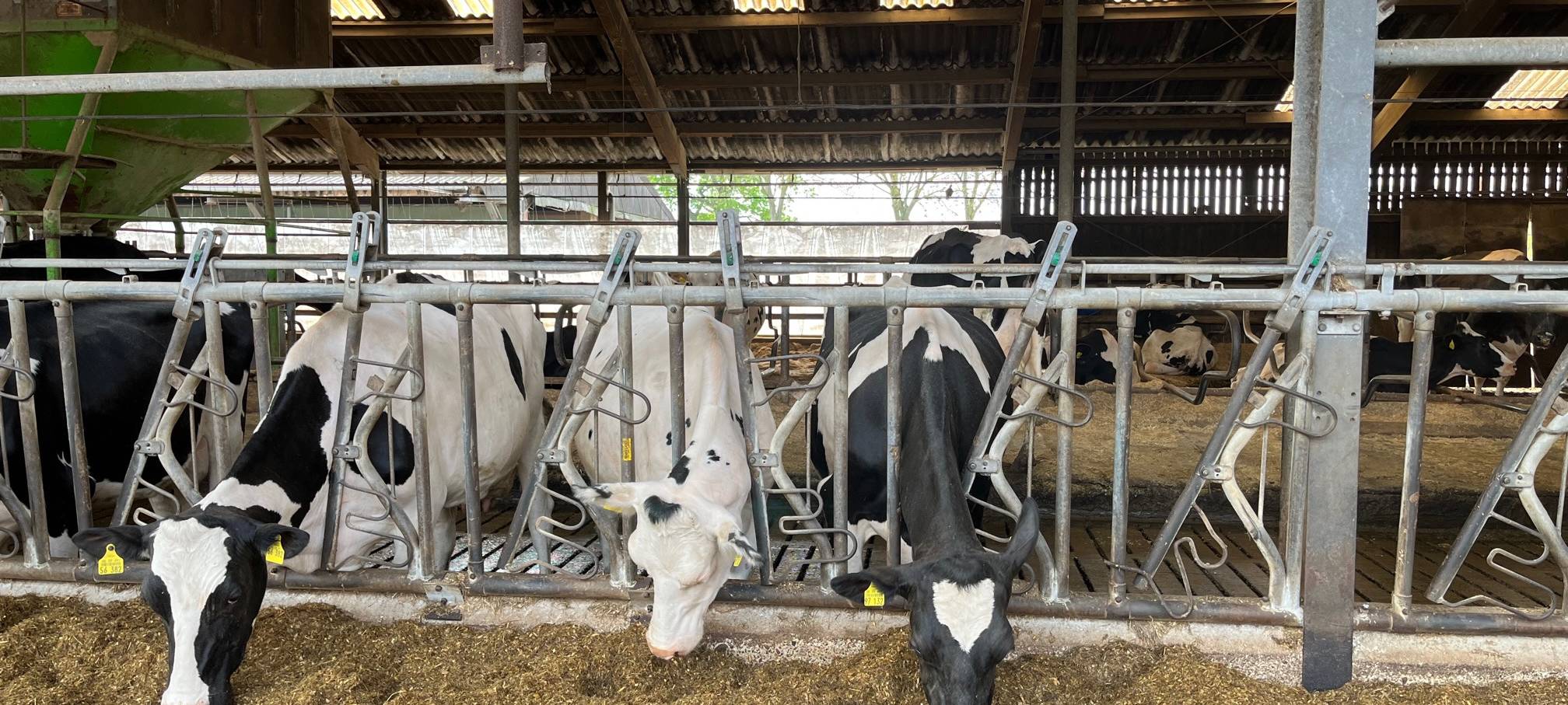 Bauern in Hamm verkaufen ihre Lebensmittel aus dem Automaten