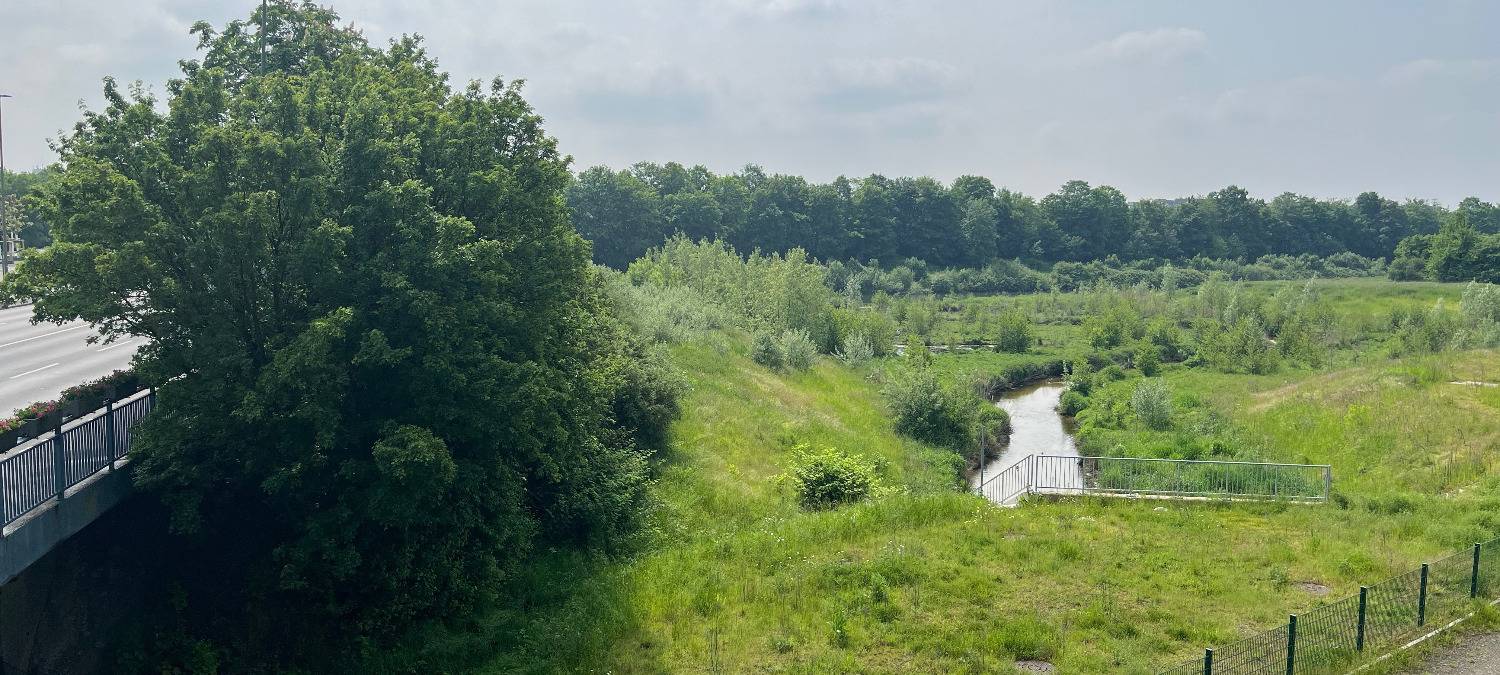 Erster Blick in den Erlebensraum Lippeaue in Hamm