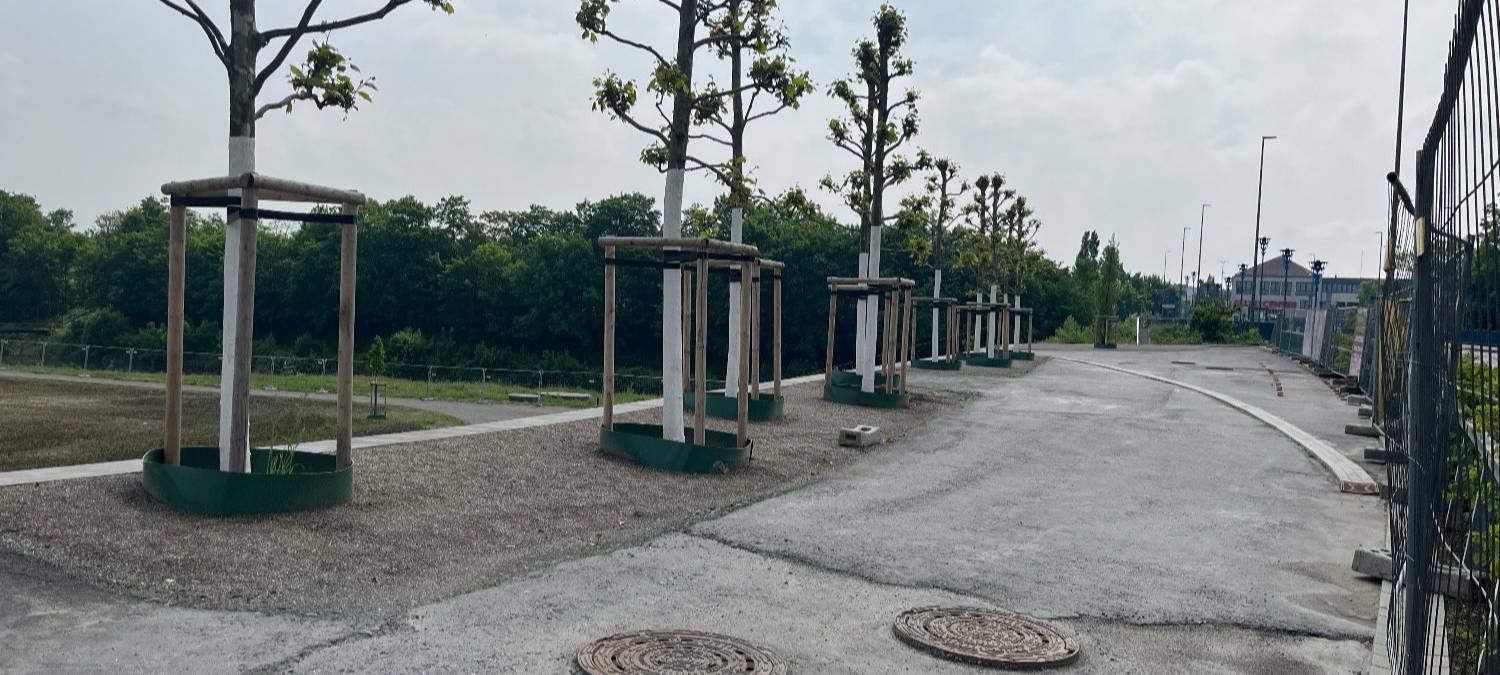 Erster Blick in den Erlebensraum Lippeaue in Hamm