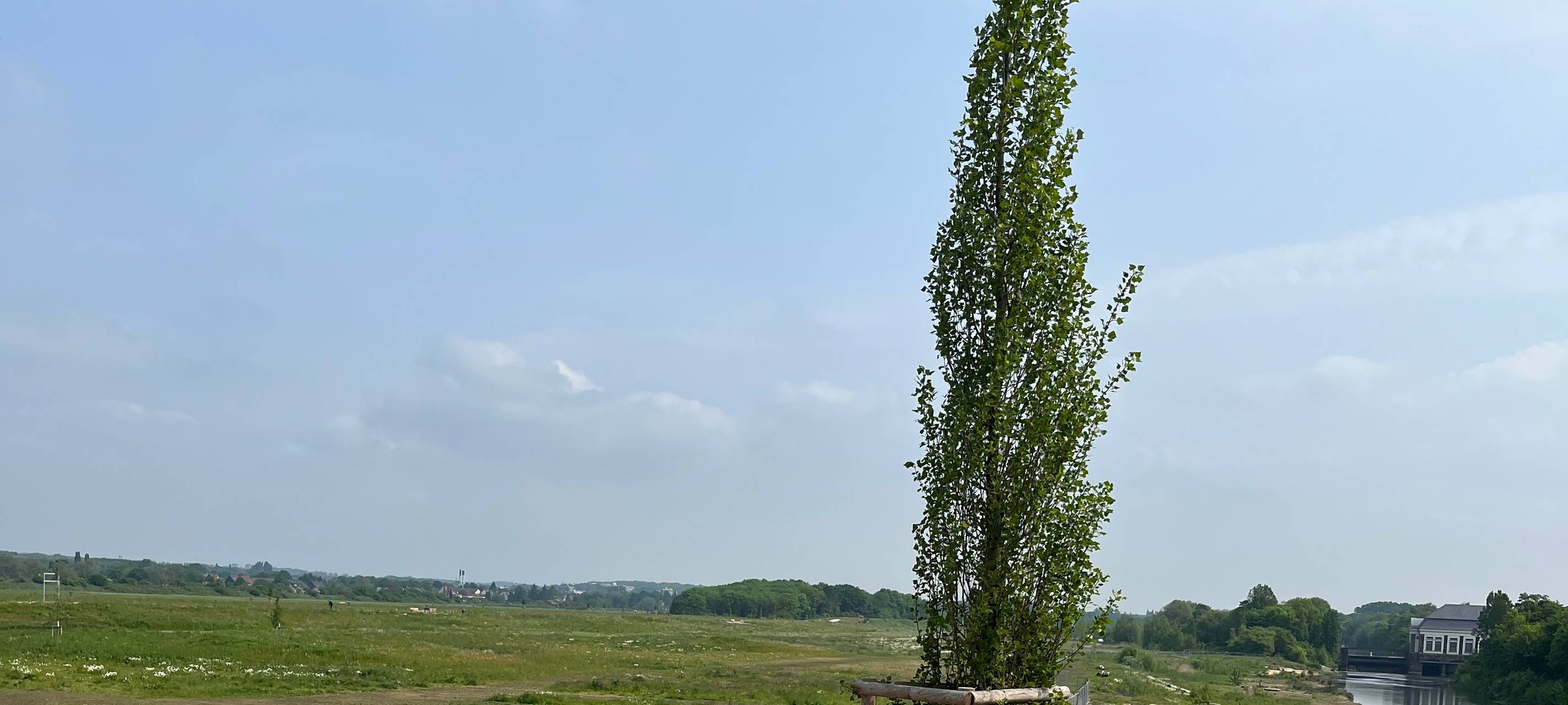 Erster Blick in den Erlebensraum Lippeaue in Hamm
