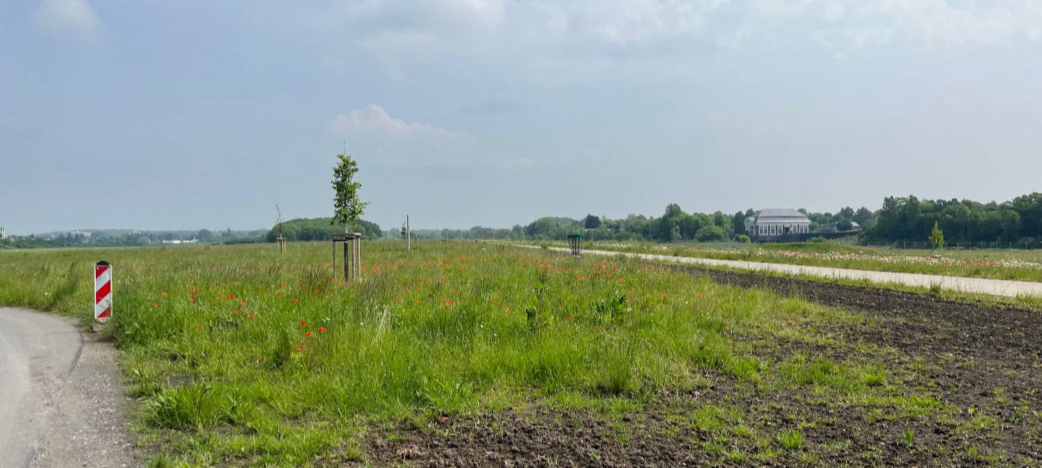 Erster Blick in den Erlebensraum Lippeaue in Hamm