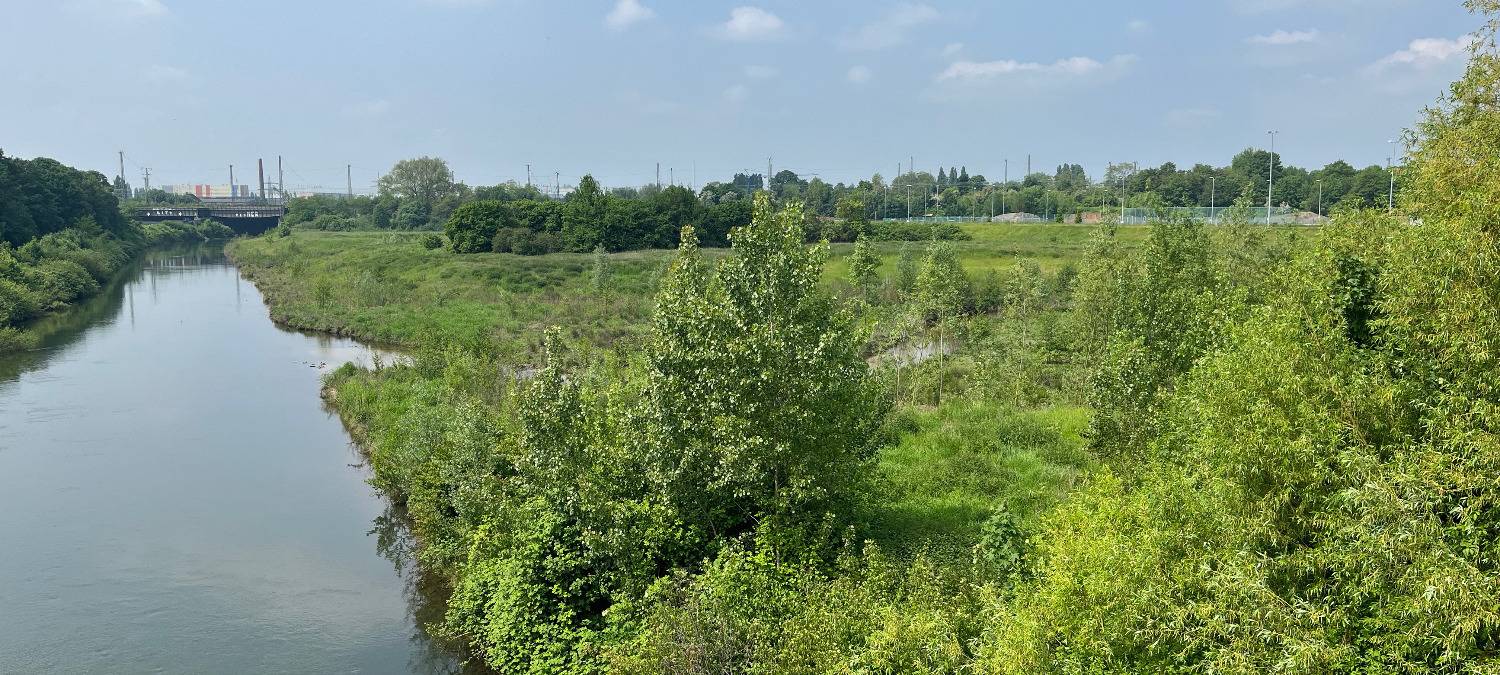 Erster Blick in den Erlebensraum Lippeaue in Hamm