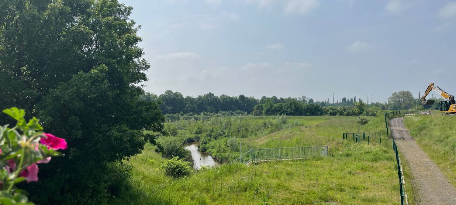 Erster Blick in den Erlebensraum Lippeaue in Hamm