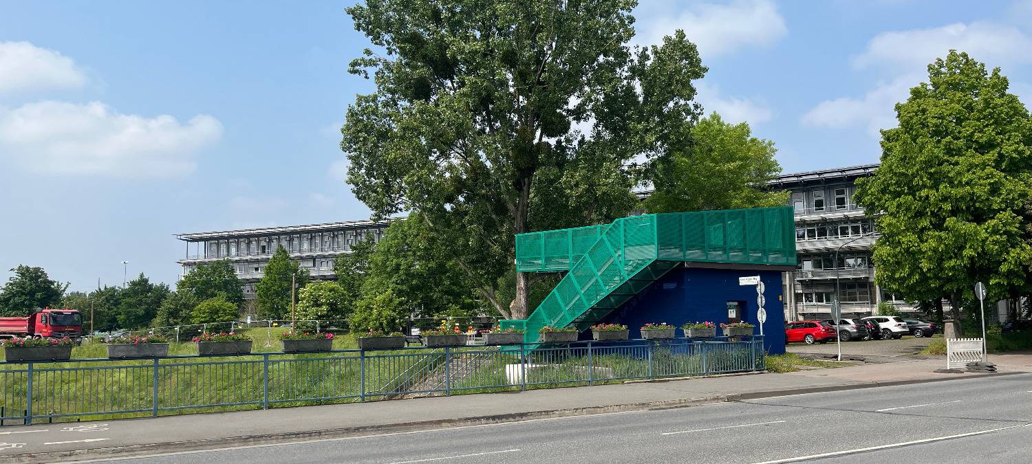 Erster Blick in den Erlebensraum Lippeaue in Hamm