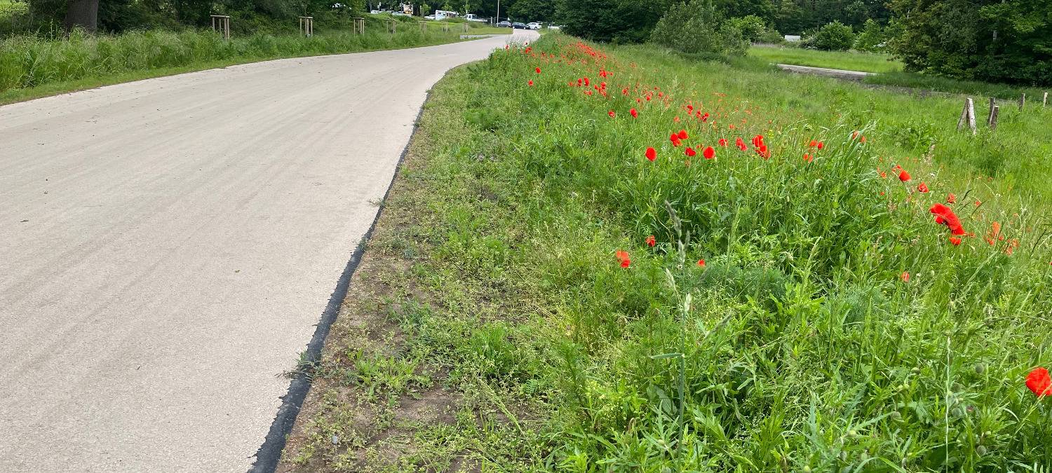 Erster Blick in den Erlebensraum Lippeaue in Hamm