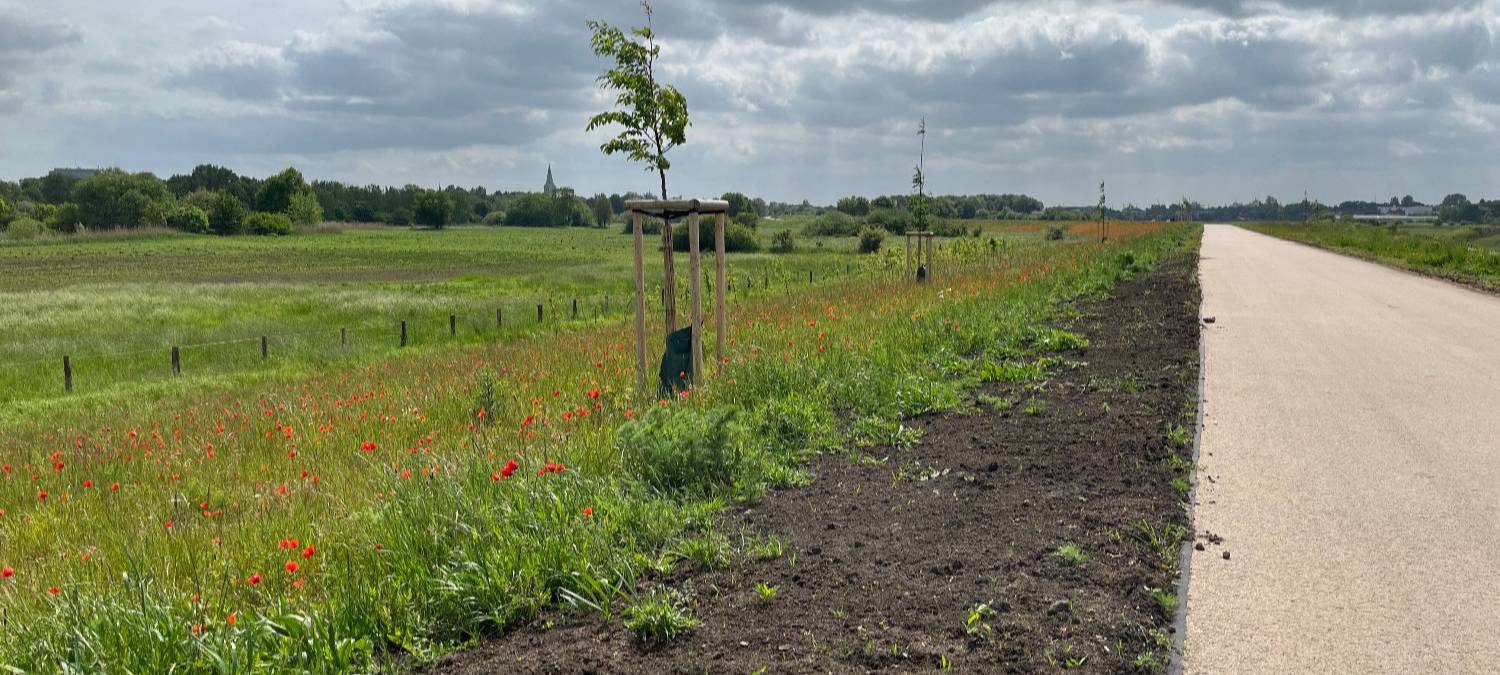 Erster Blick in den Erlebensraum Lippeaue in Hamm