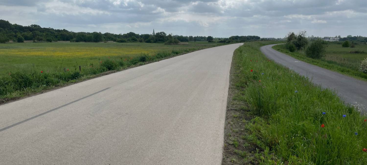 Erster Blick in den Erlebensraum Lippeaue in Hamm