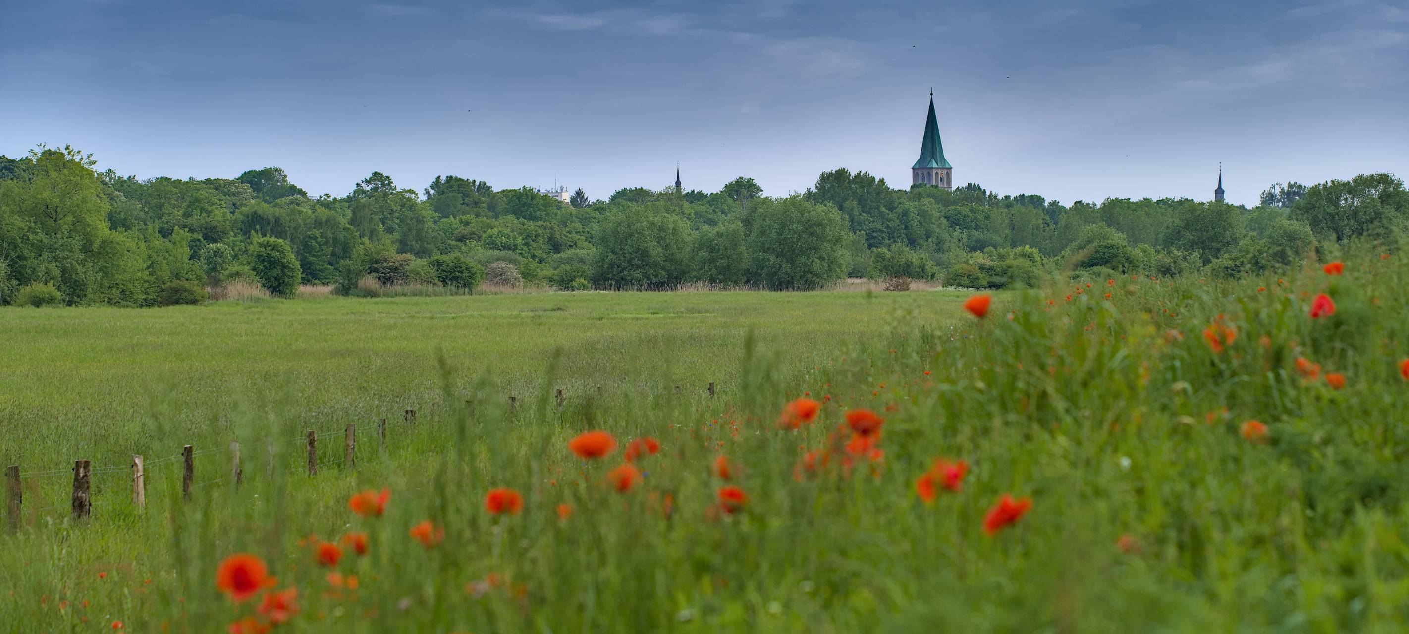 #soschönisthamm im Jahr 2023 - die schönsten Fotos