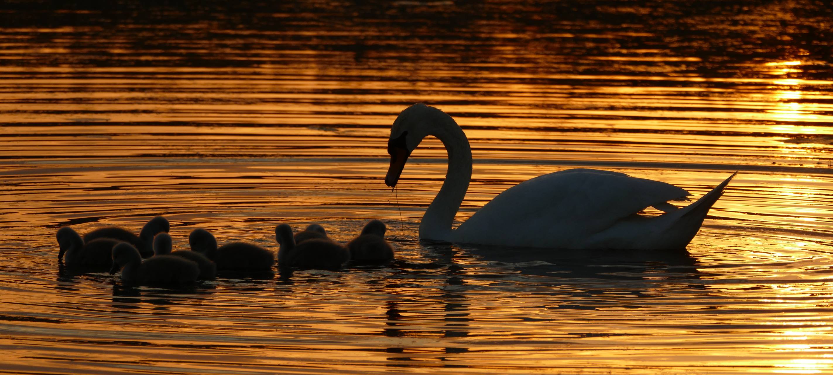 #soschönisthamm im Jahr 2023 - die schönsten Fotos